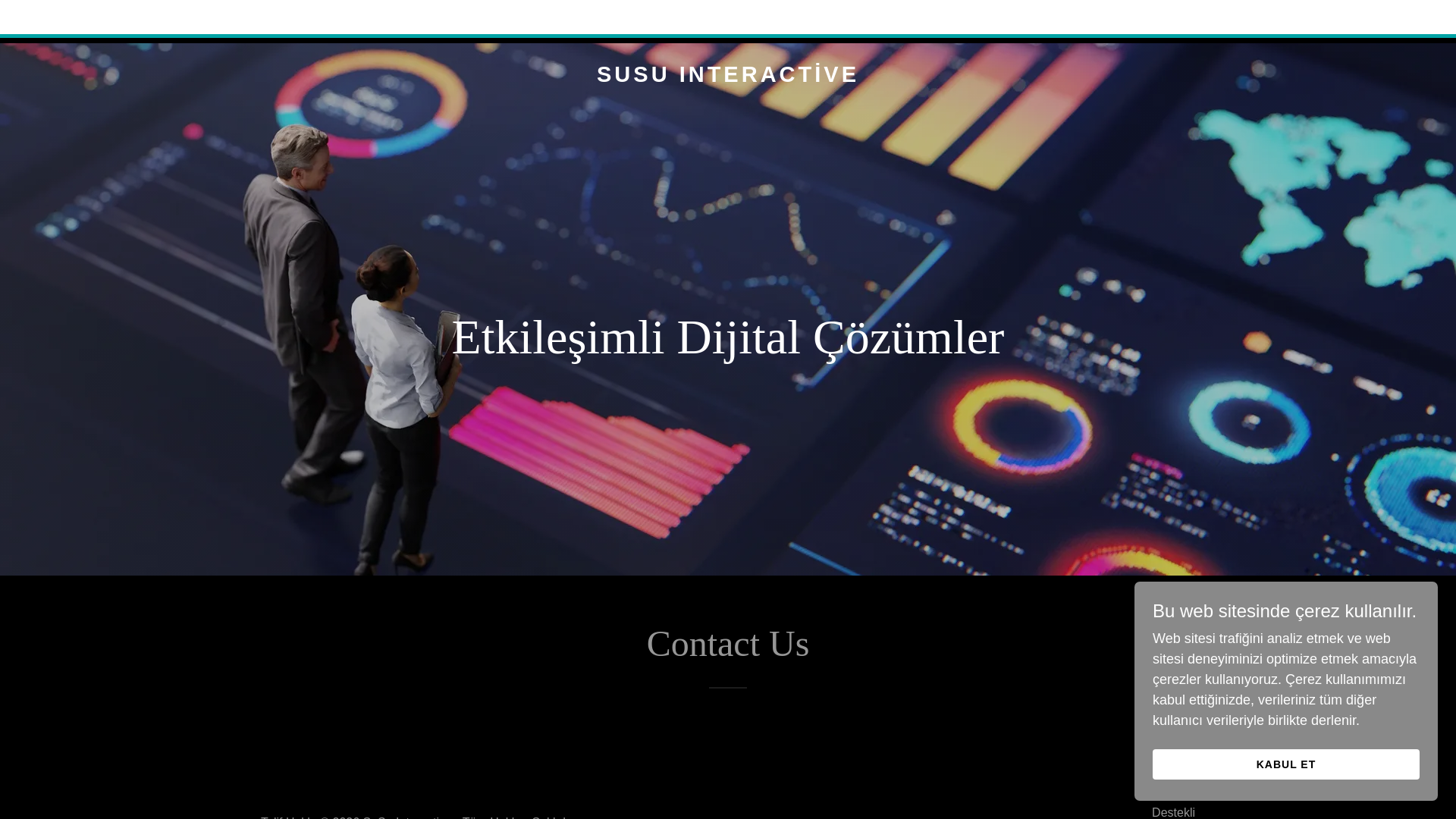 website screenshot of https://susuinteractive.com
