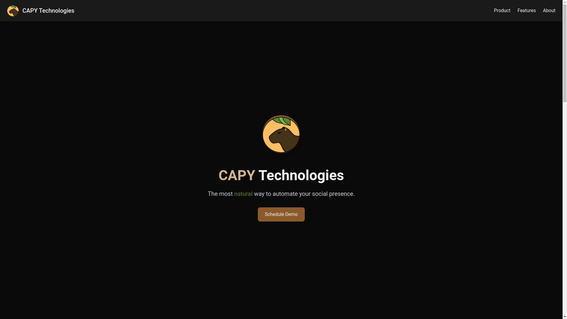 website screenshot of https://capytechnology.pages.dev/