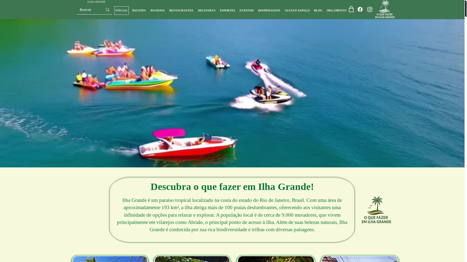 website screenshot of https://oquefazeremilhagrande.com/
