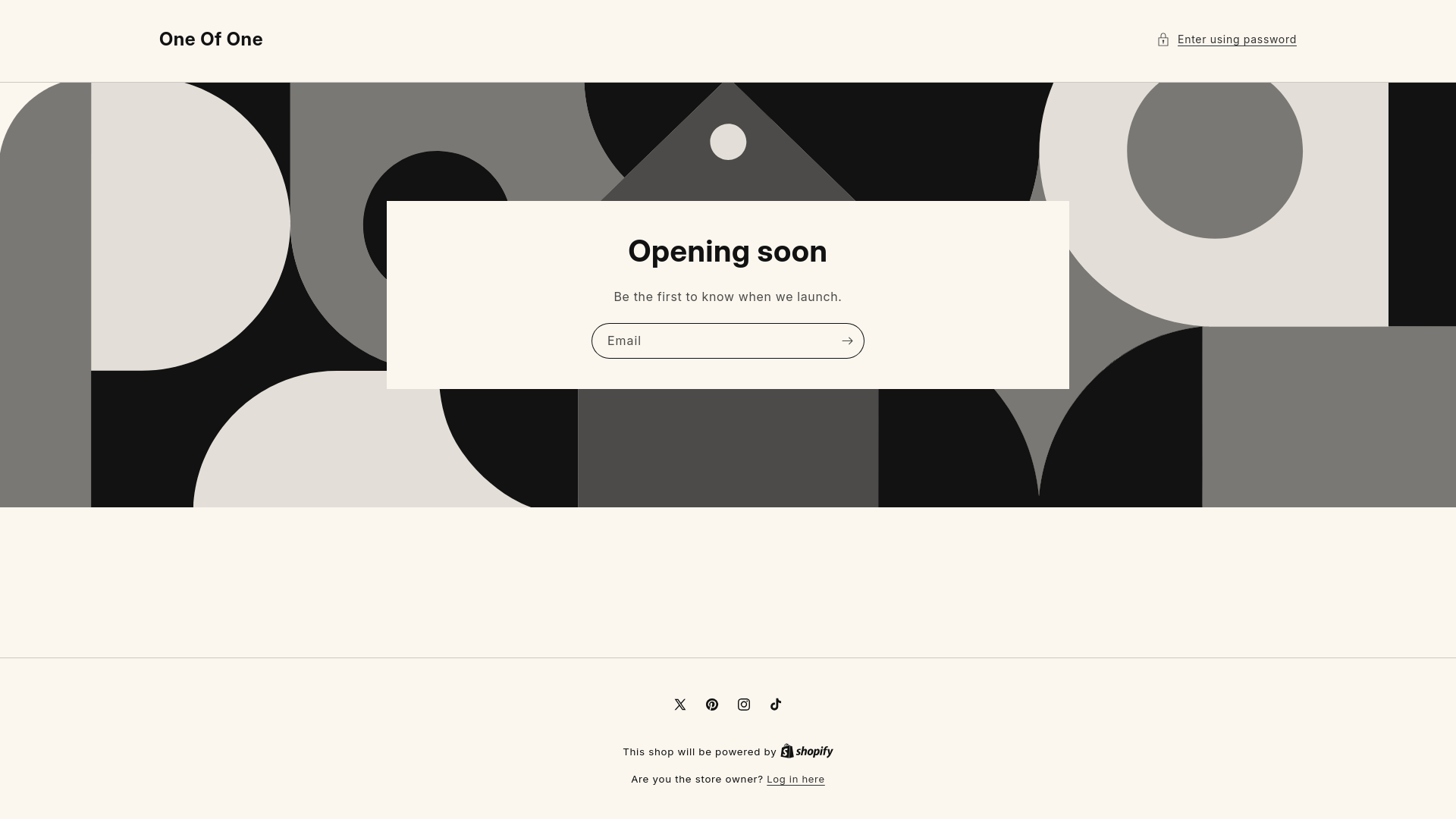 website screenshot of https://oneofoneactive.com/