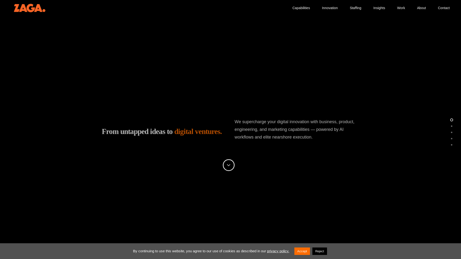 website screenshot of https://zagacapacity.com/