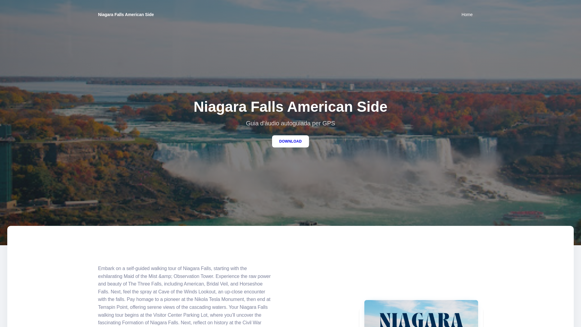 website screenshot of https://fallsresortview.com/