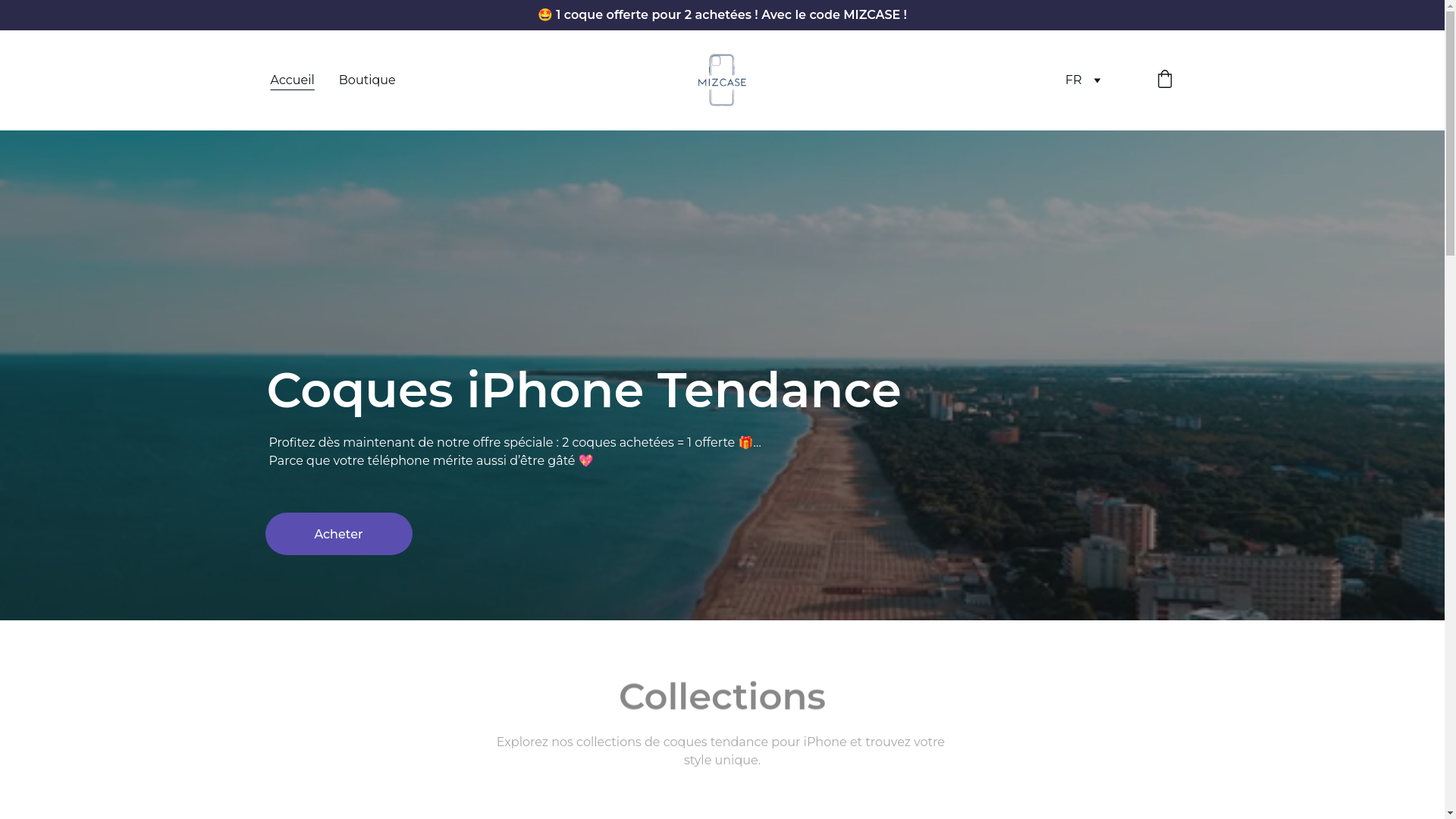 website screenshot of https://mizcase.com/
