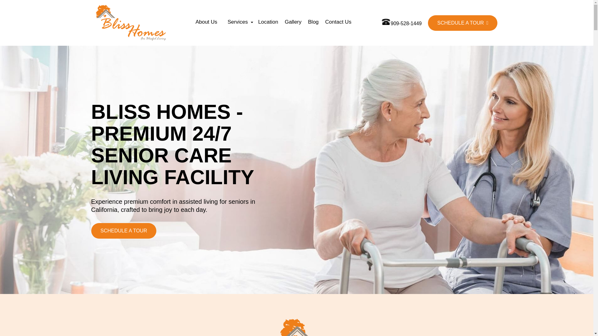 website screenshot of https://theblisshomes.com/