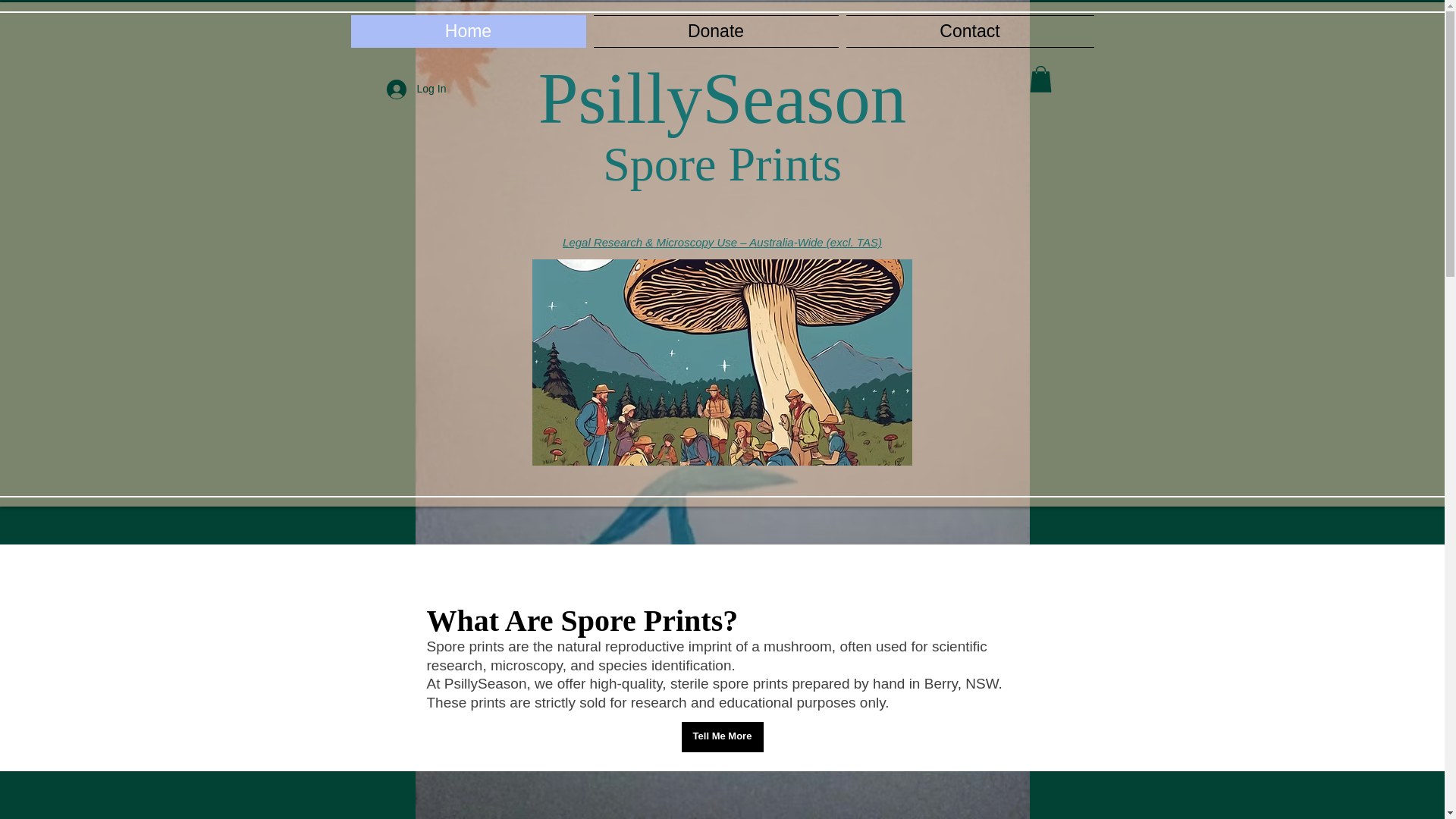 website screenshot of https://psillyseason.com/