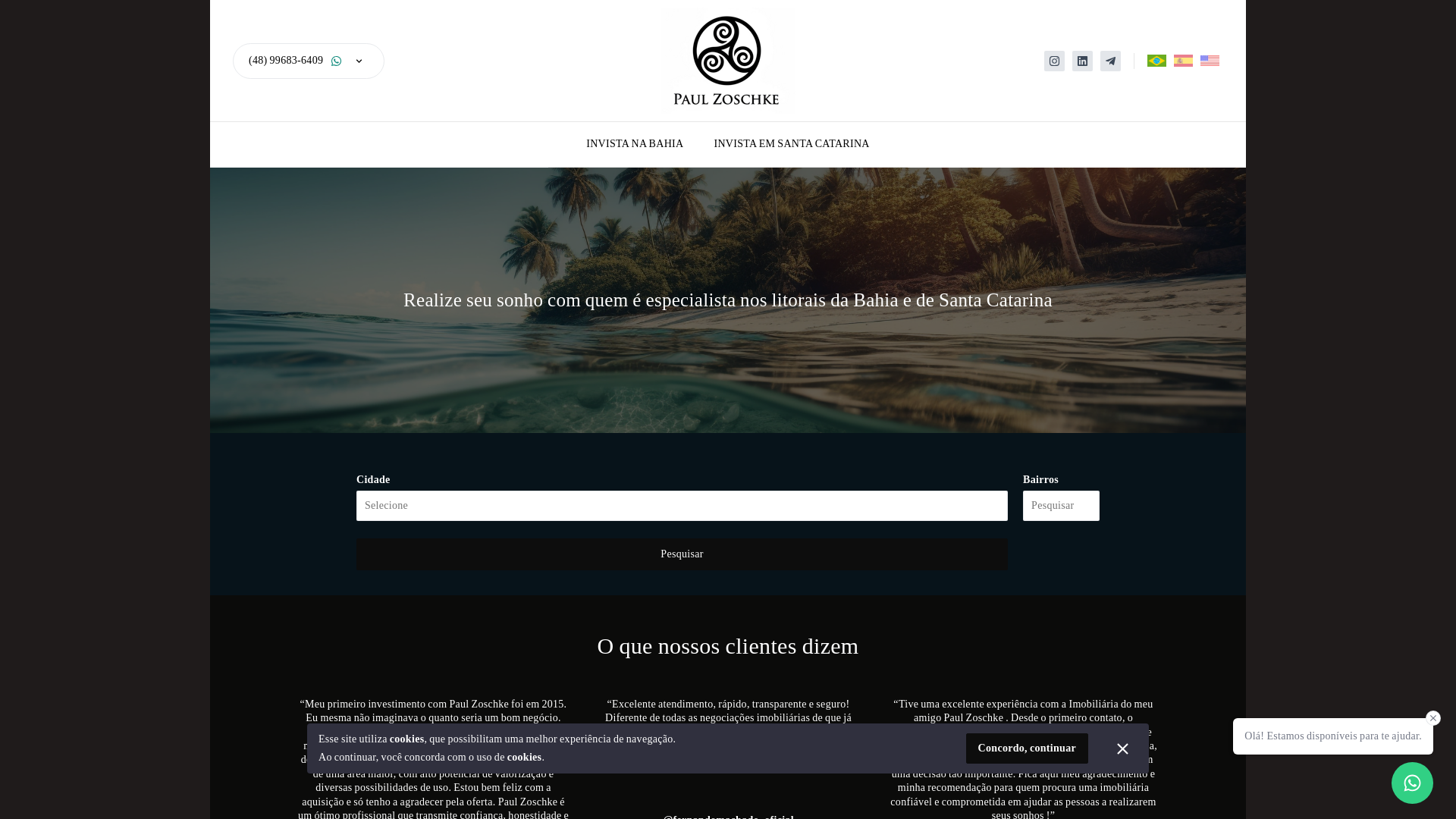 website screenshot of https://paulzoschke.com.br/