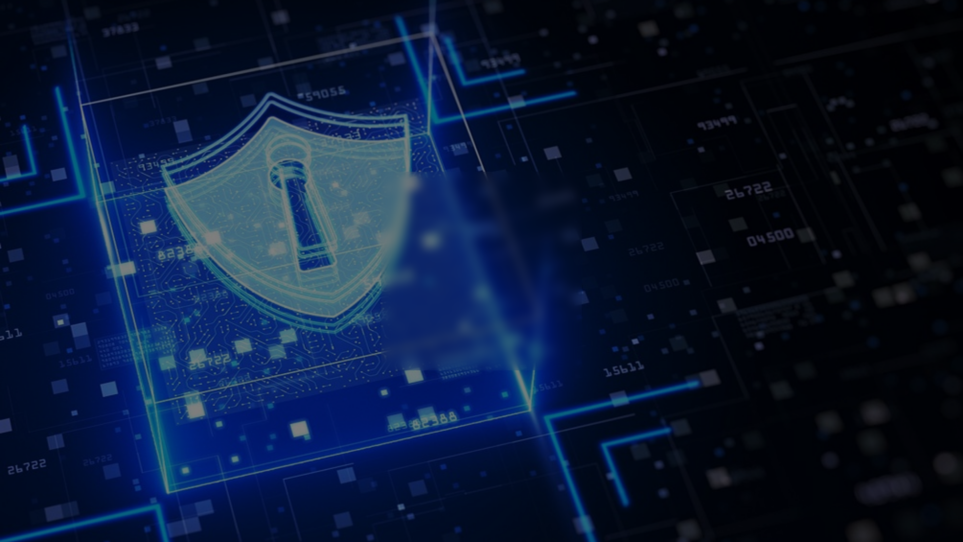 website screenshot of https://zarnriskassessor.com/