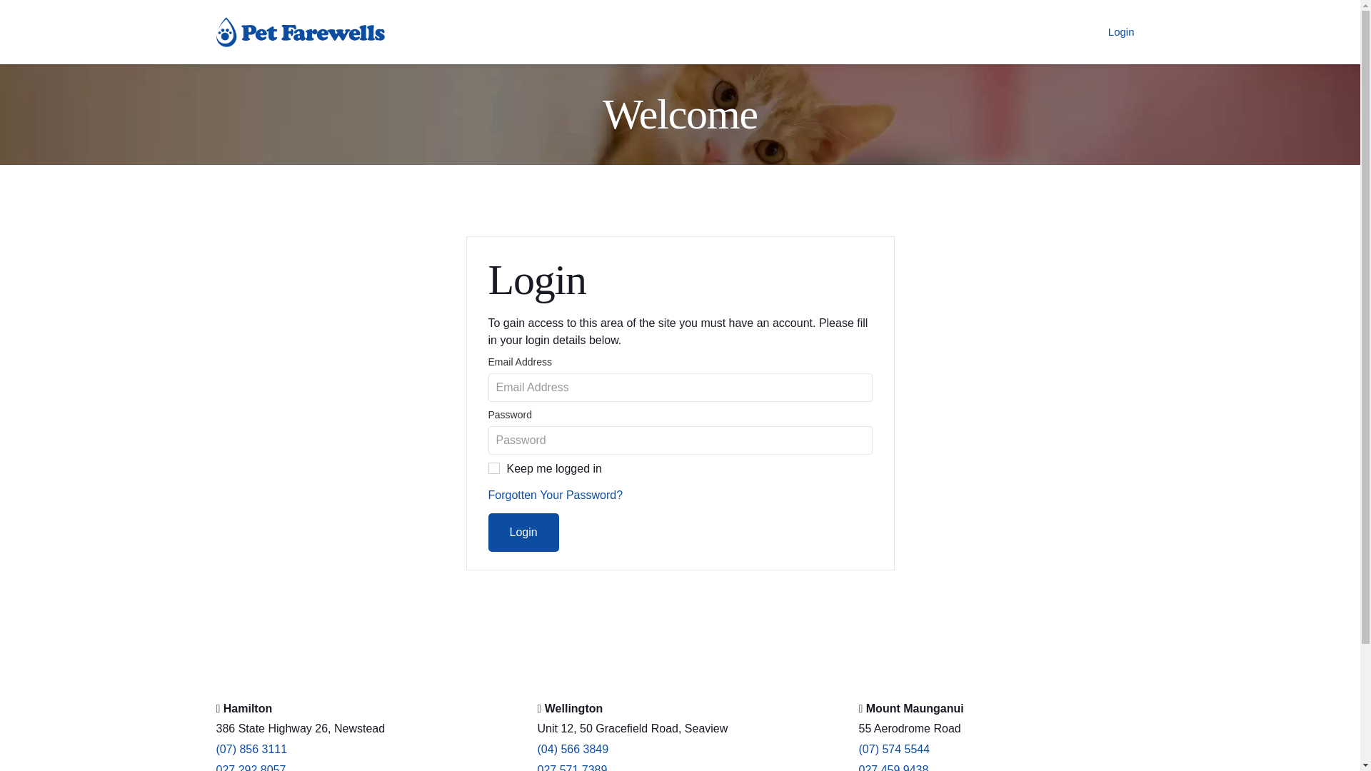 website screenshot of https://systempf.co.nz/