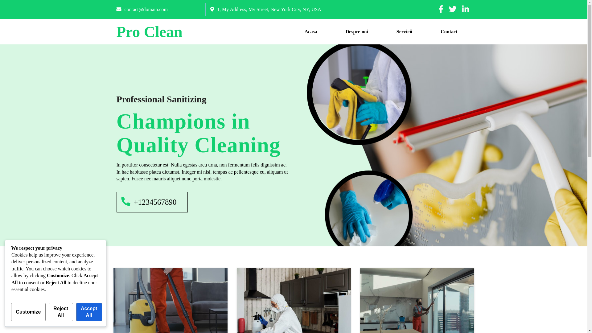 website screenshot of https://serviciiproclean.ro/