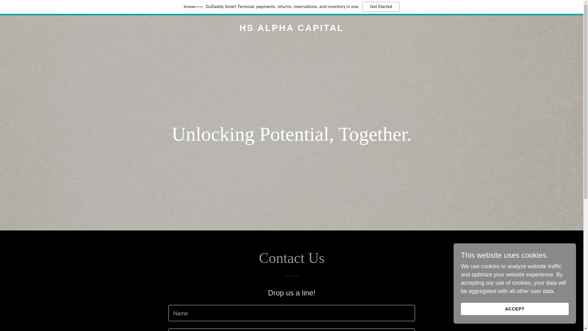 website screenshot of https://hsalphacapital.com/
