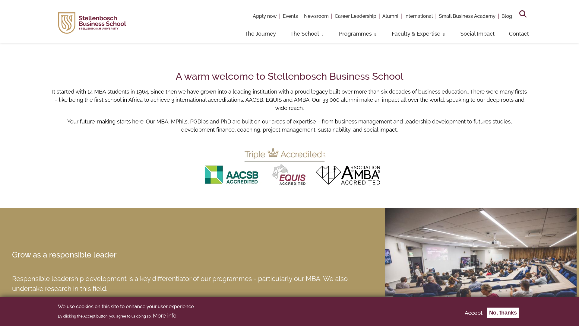 website screenshot of https://stellenboschbusiness.ac.za/