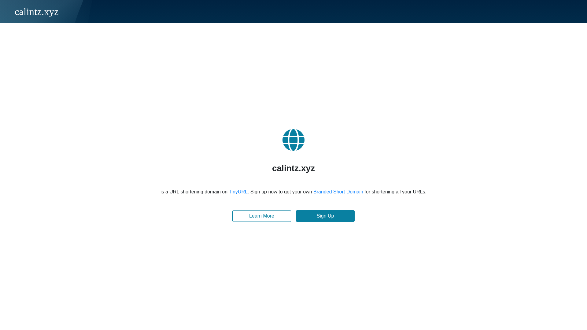 website screenshot of https://calintz.xyz/