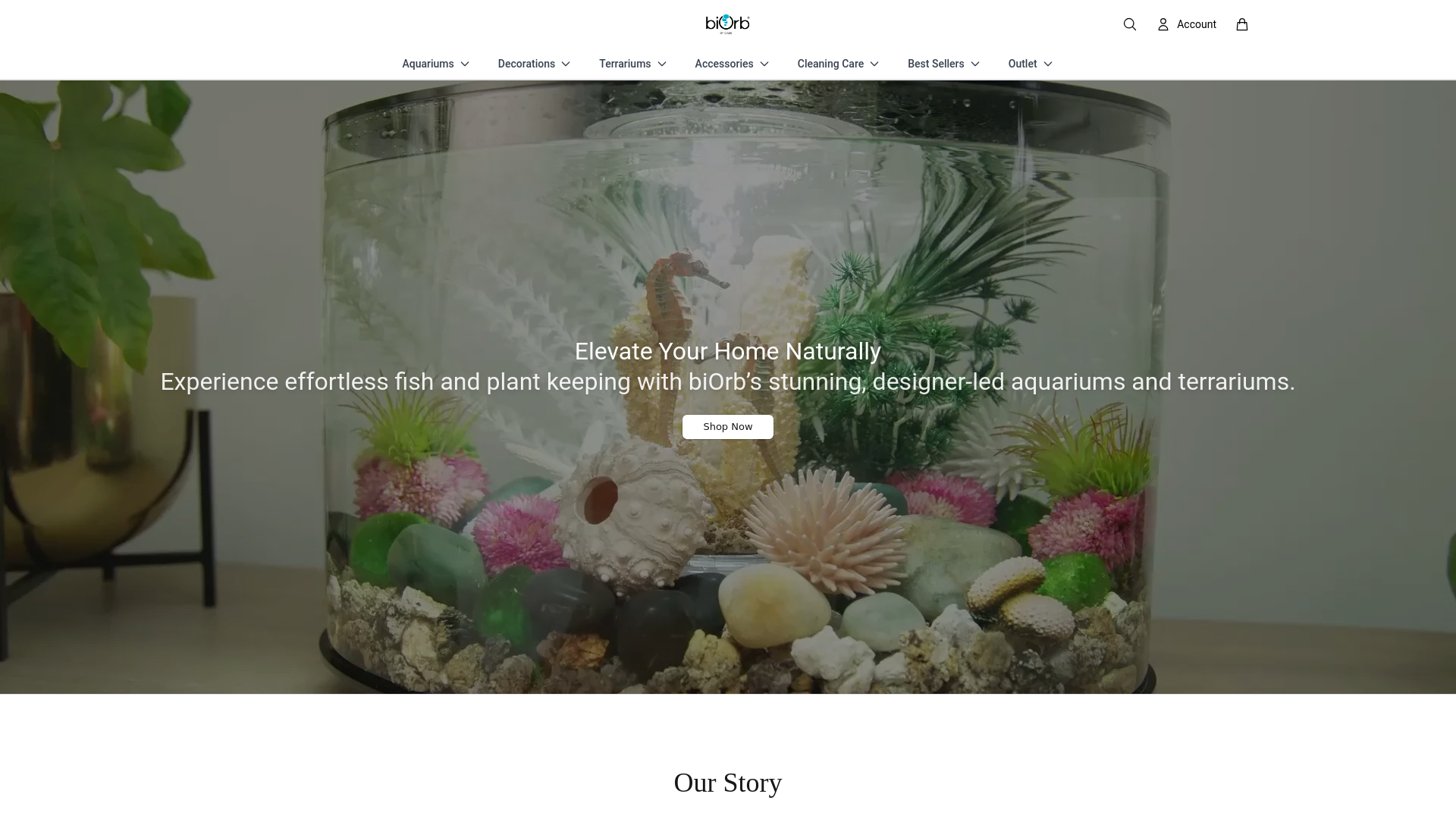 website screenshot of https://biorbdirect.shop/