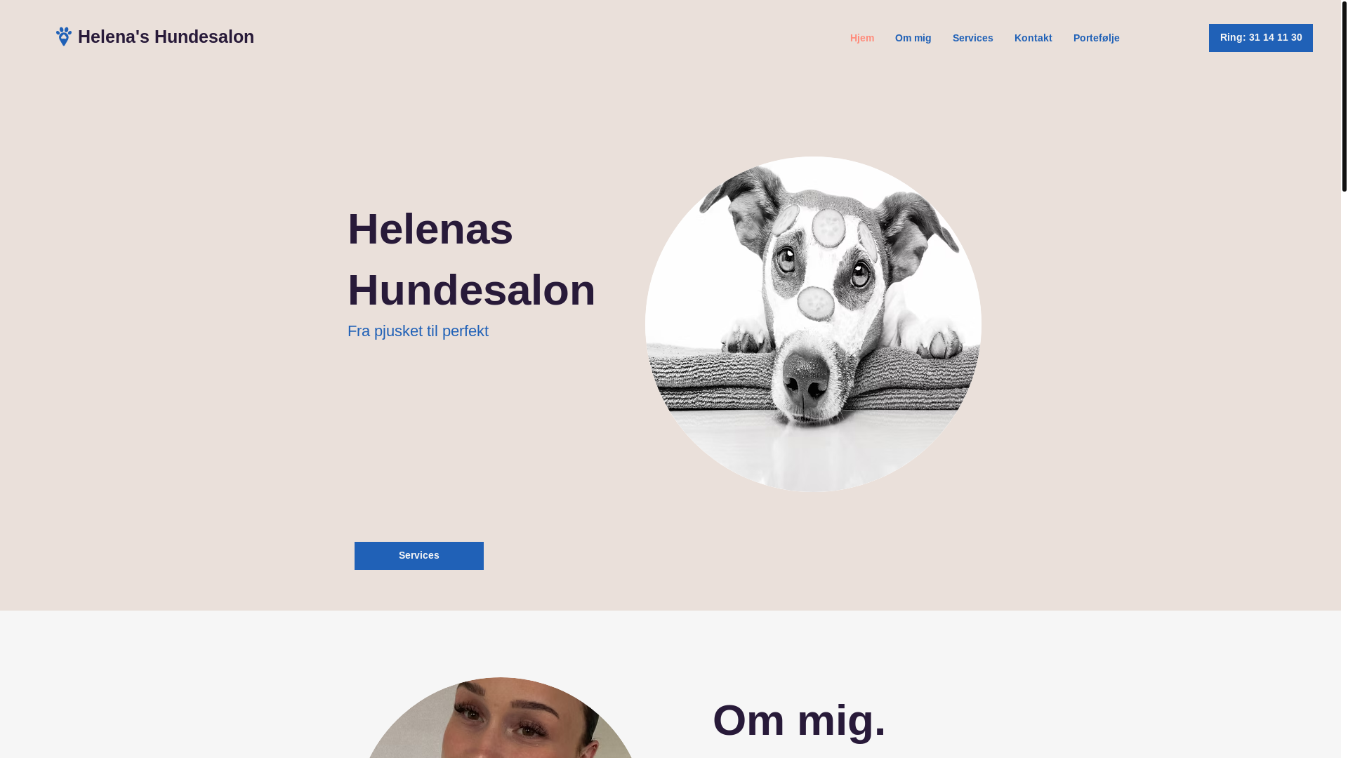 website screenshot of https://helenashundesalon.com/