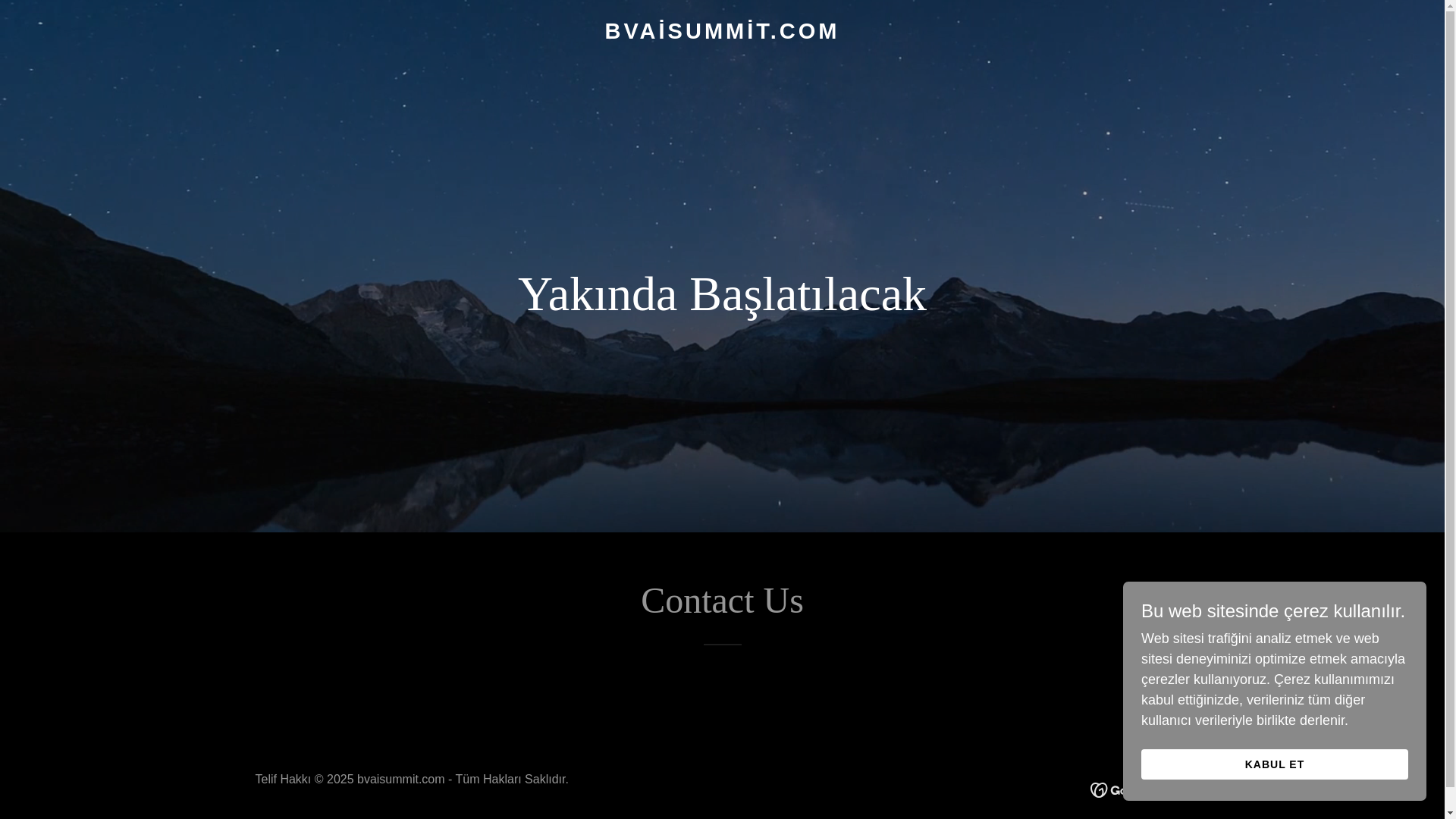 website screenshot of https://bvaisummit.com/