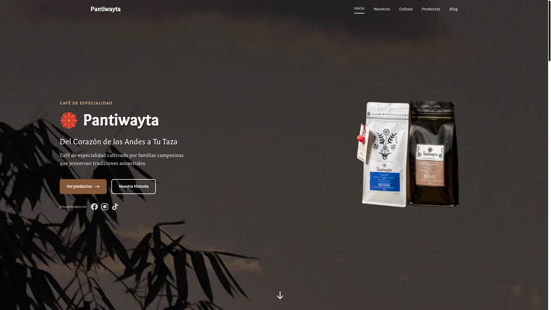 website screenshot of https://pantiweb.pages.dev/