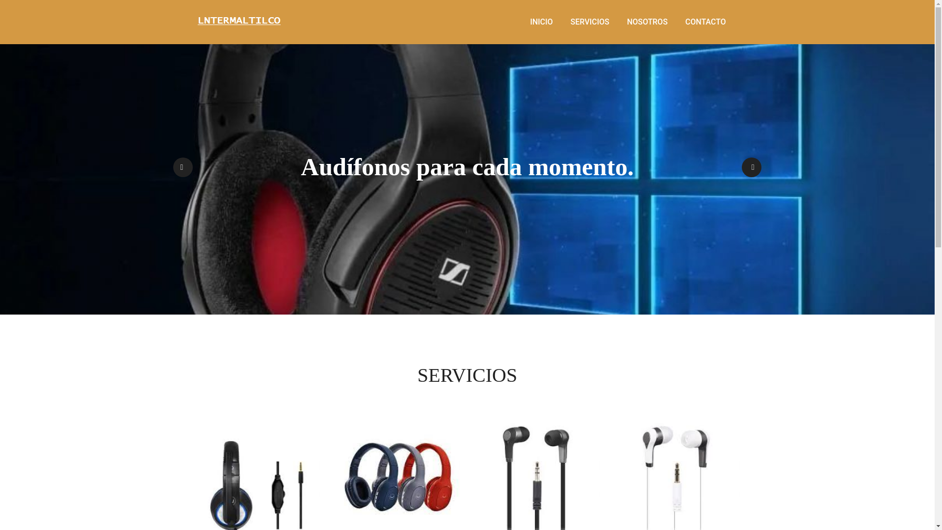 website screenshot of https://lntermaltilco.online/