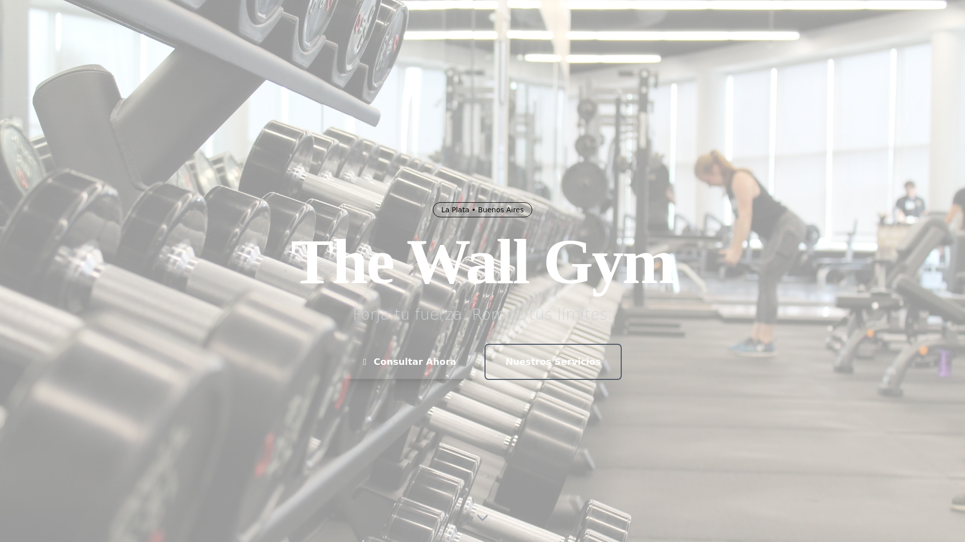 website screenshot of https://thewallgym-web.pages.dev/