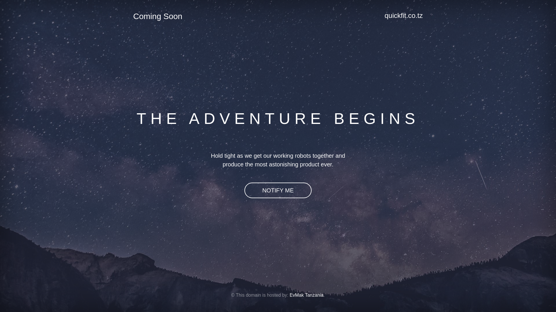 website screenshot of https://quickfit.co.tz/