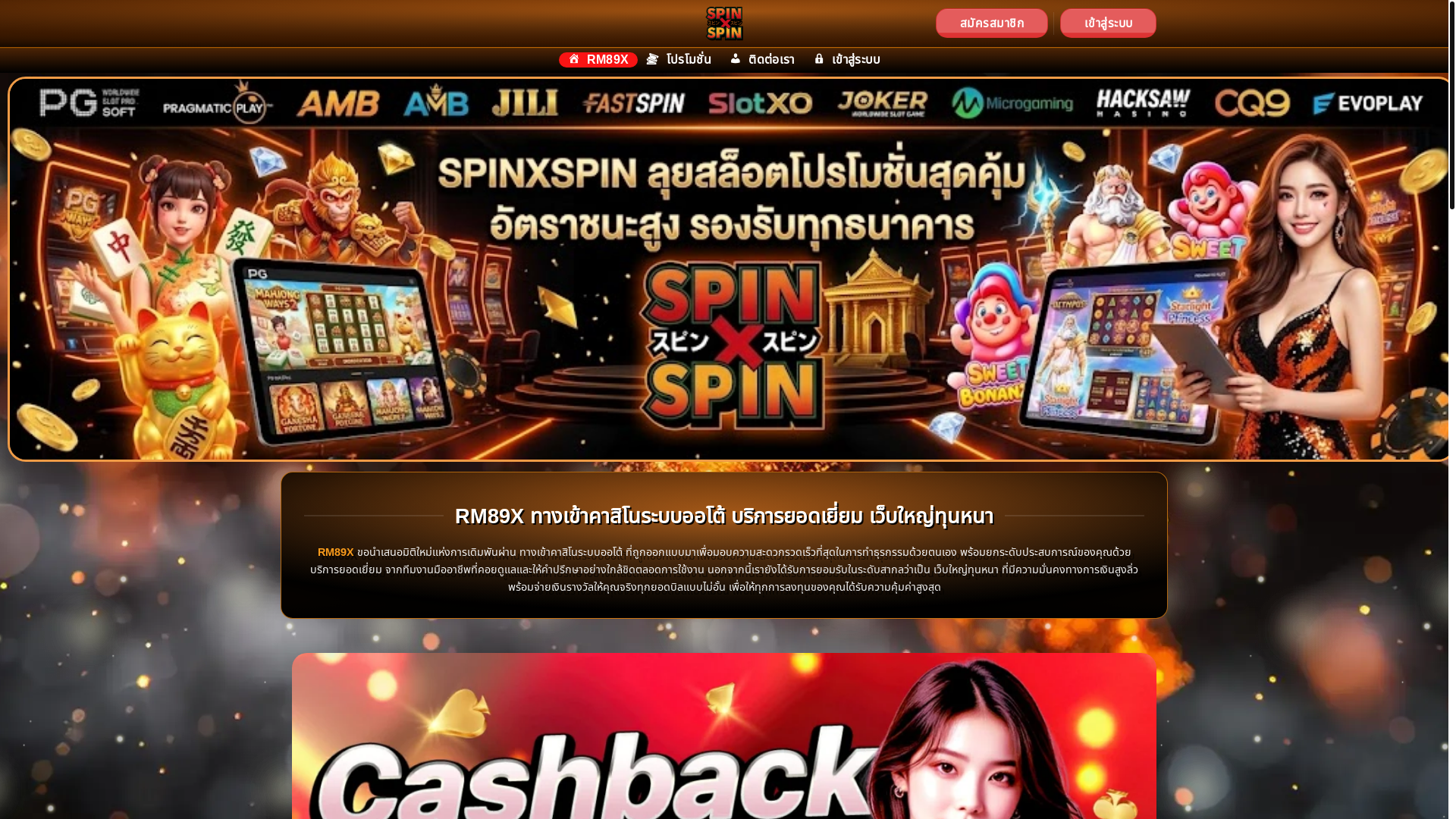website screenshot of https://spinxspinp.com/