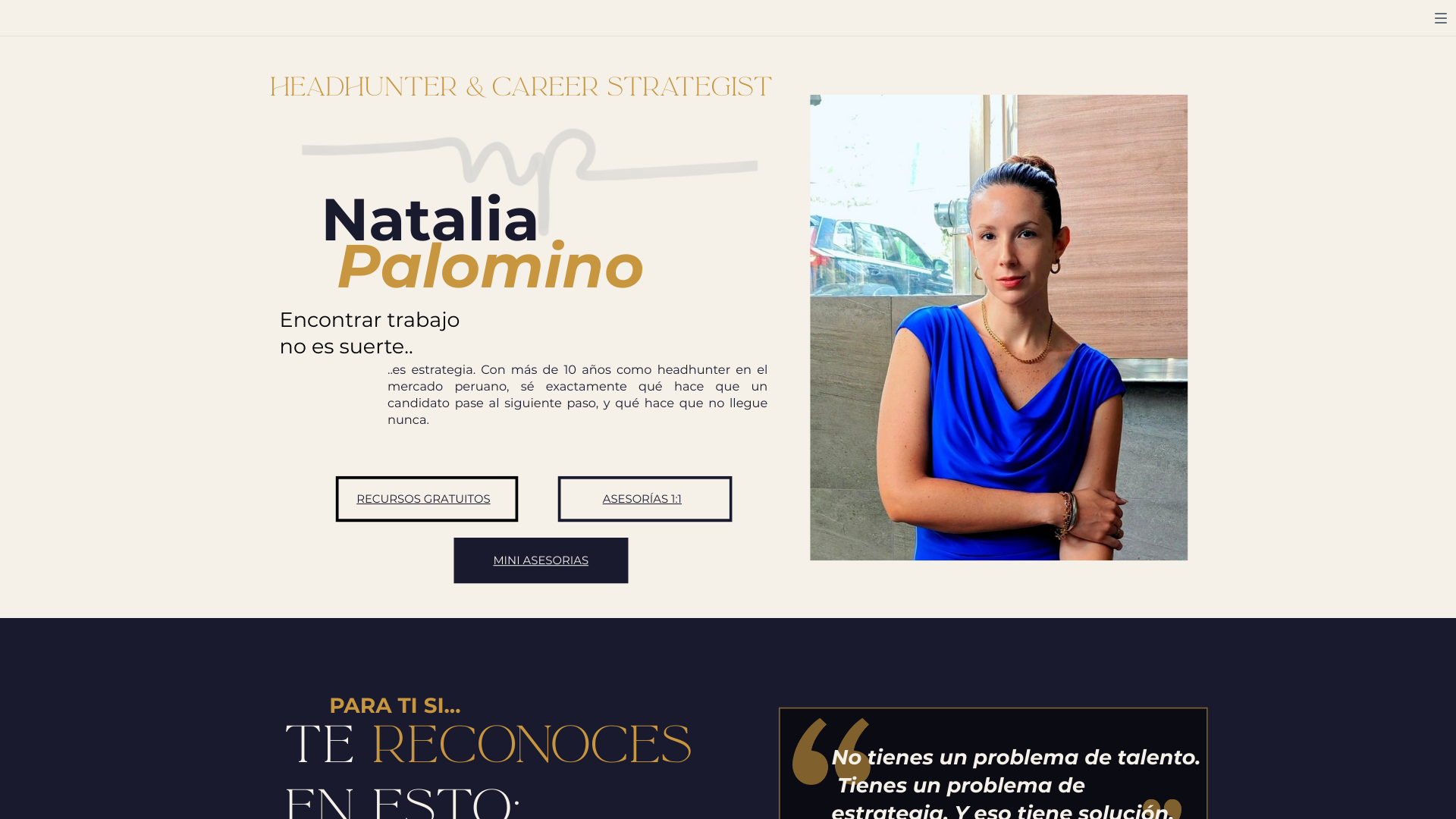 website screenshot of https://navipache.com/