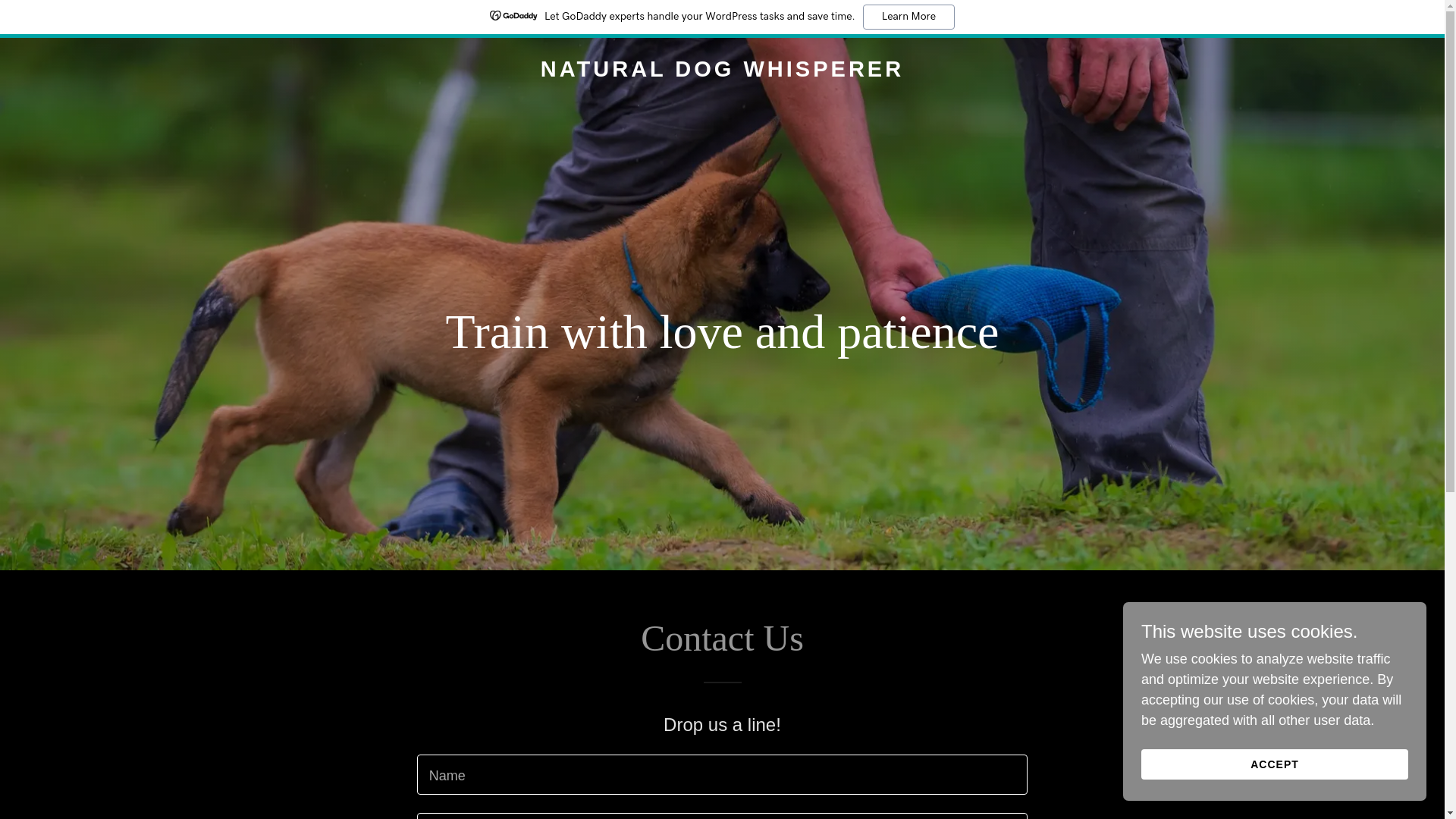 website screenshot of https://naturaldogwhisperer.com/