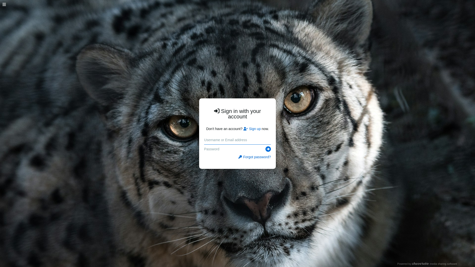 website screenshot of https://ajopunyagambar.live/