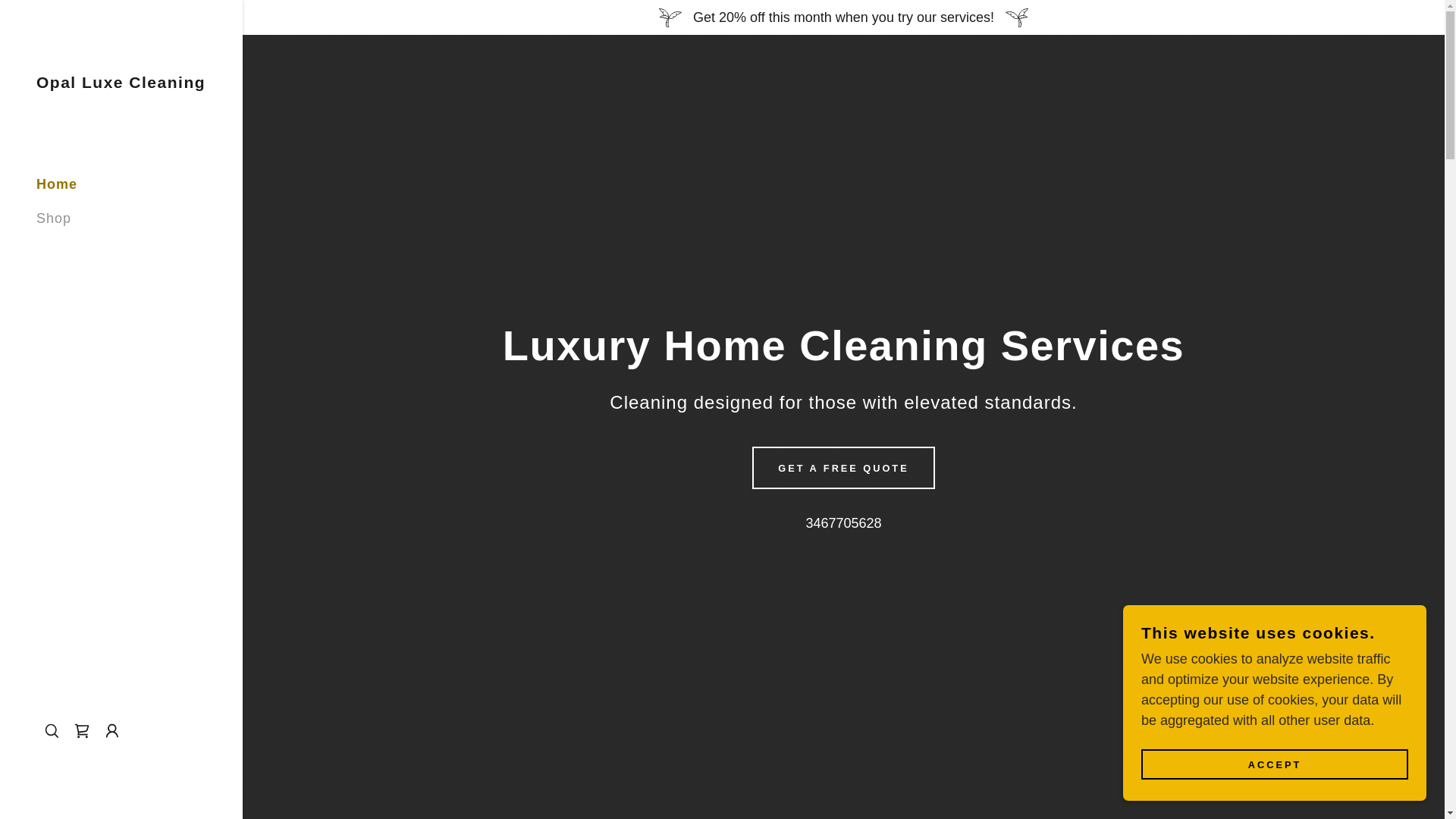 website screenshot of https://theopalclean.com/