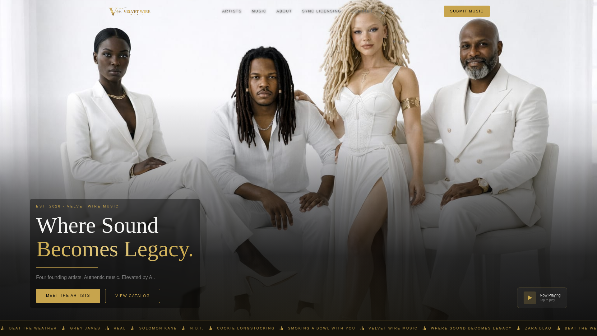 website screenshot of https://velvetwirerecords.com