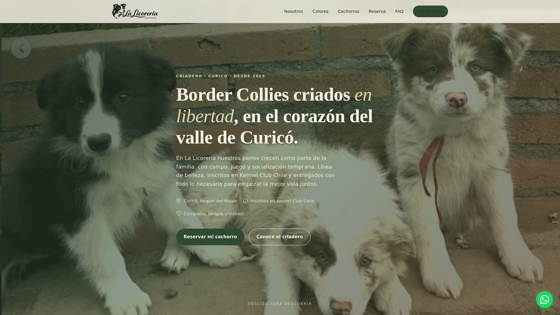 website screenshot of https://la-licoreria.cl/