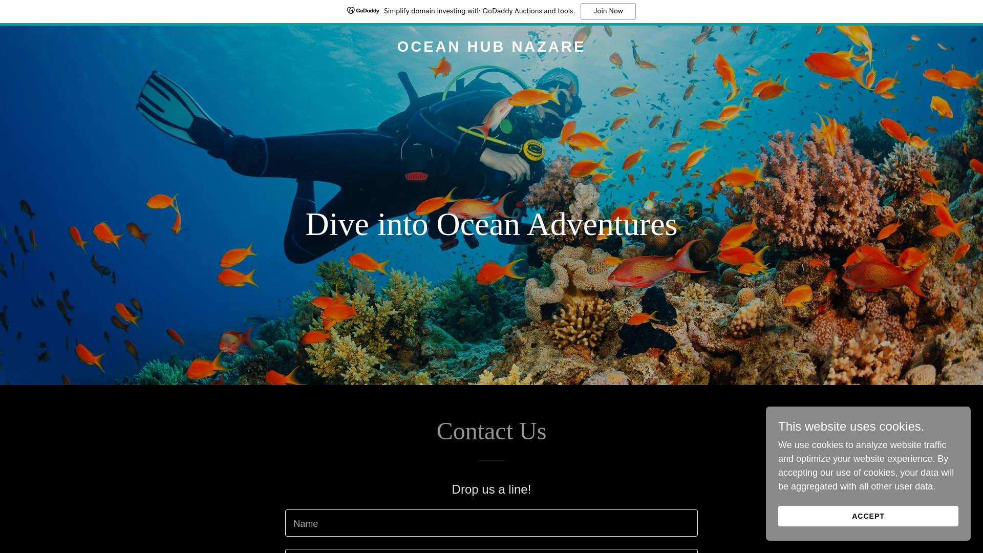 website screenshot of https://oceanhubnazare.com/
