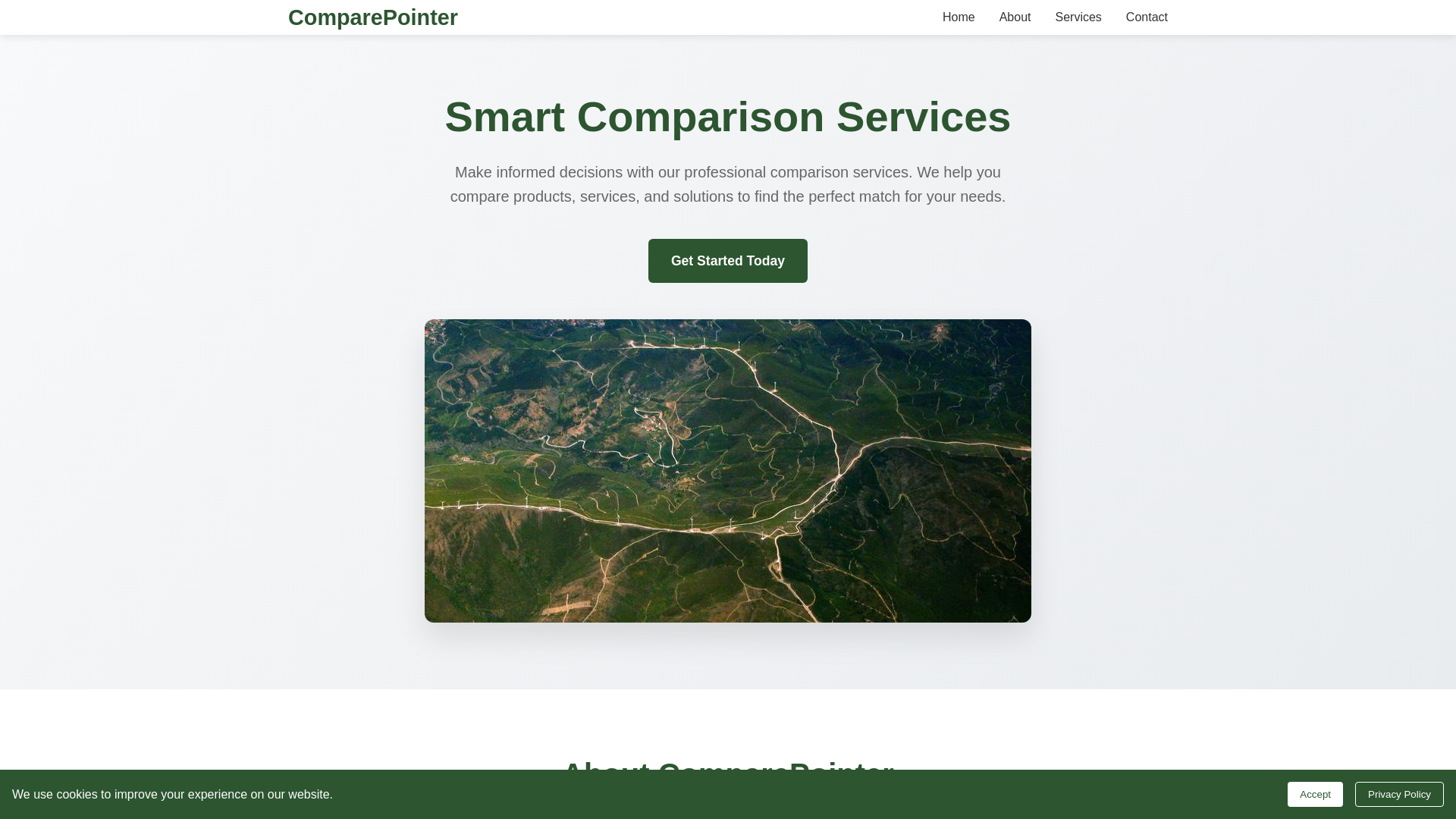 website screenshot of https://comparepointer.xyz/