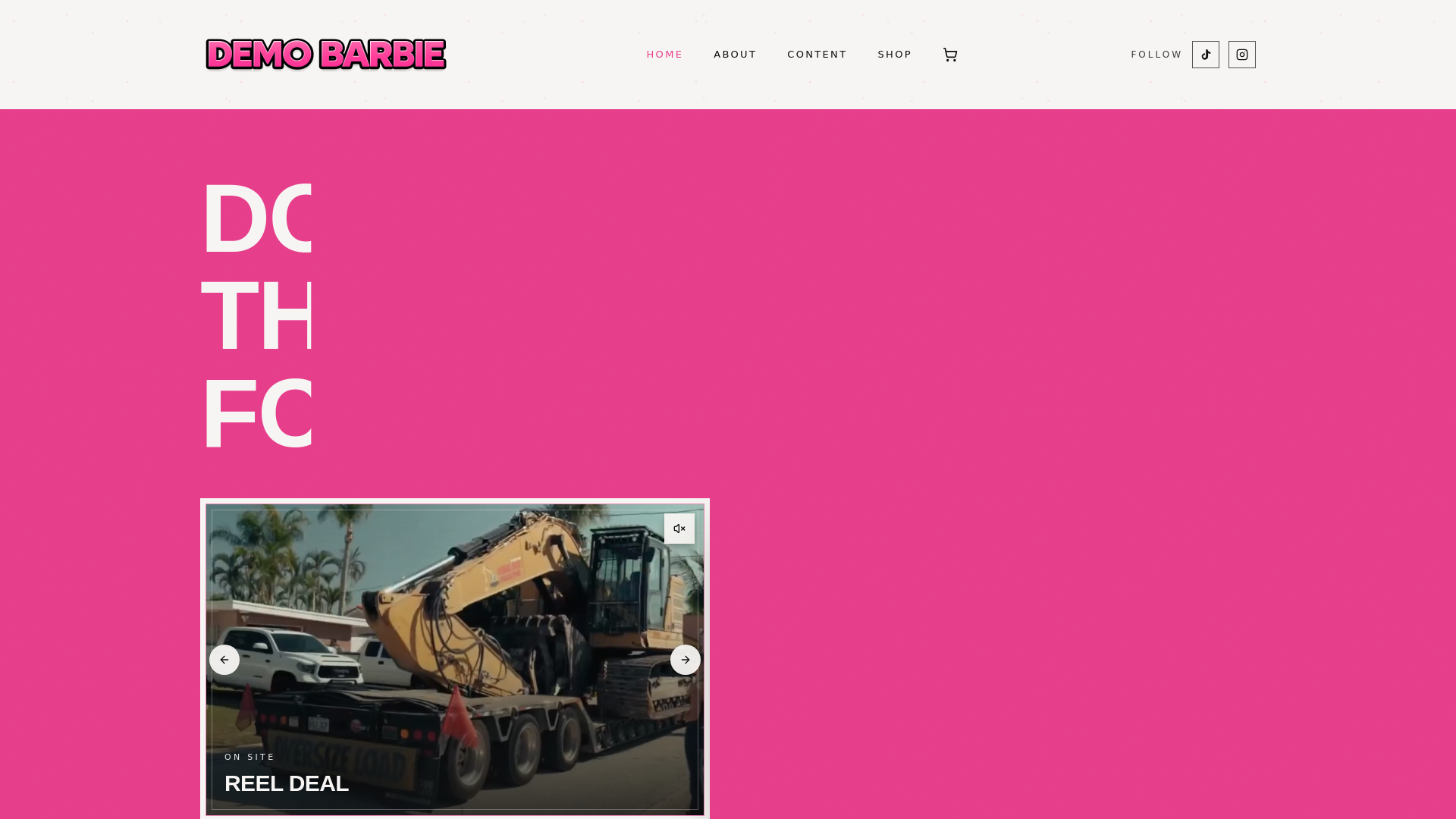 website screenshot of https://demobarbiedemolition.com/