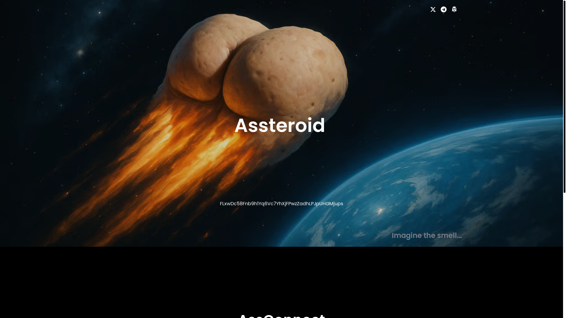 website screenshot of https://assteroid.org/