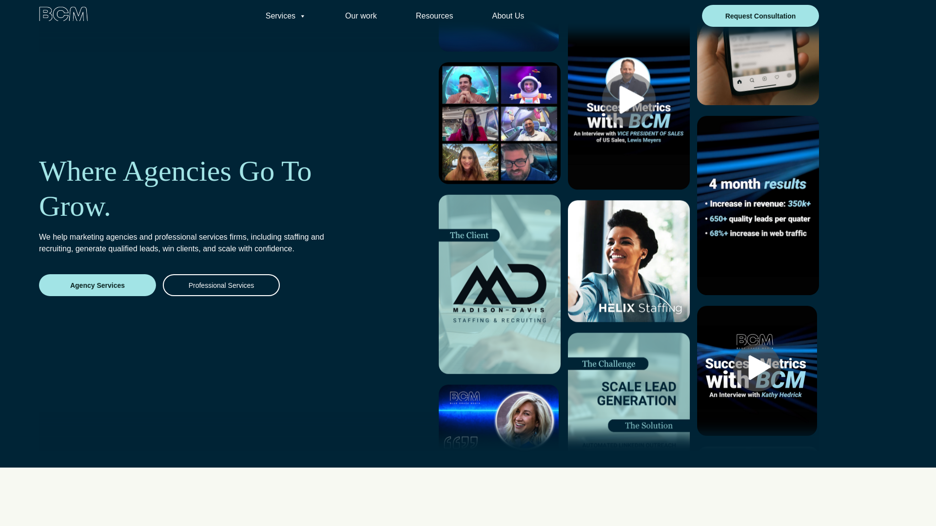 website screenshot of https://bluecrazecatalyst.info/