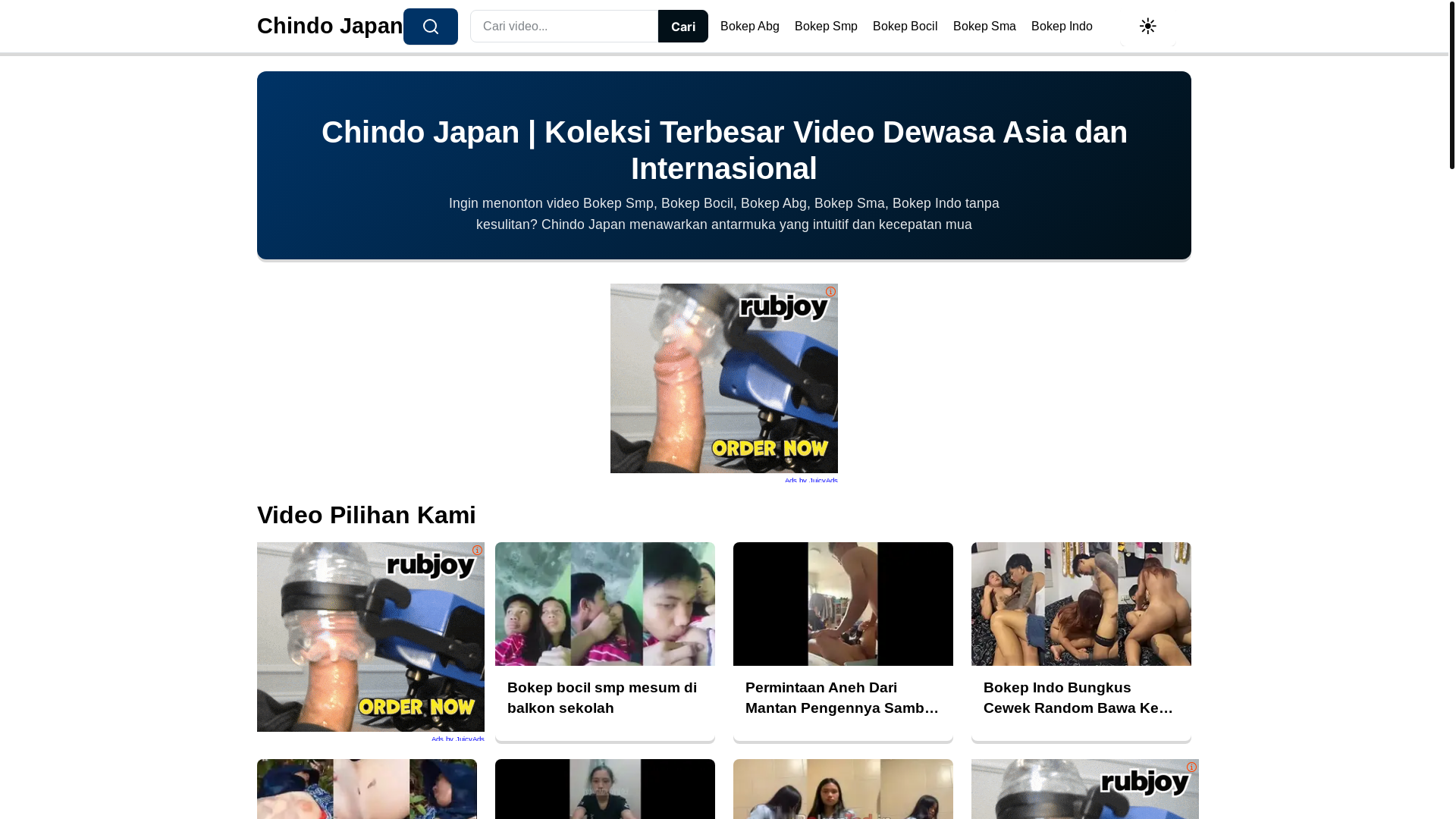 website screenshot of https://chindojapan.pages.dev/