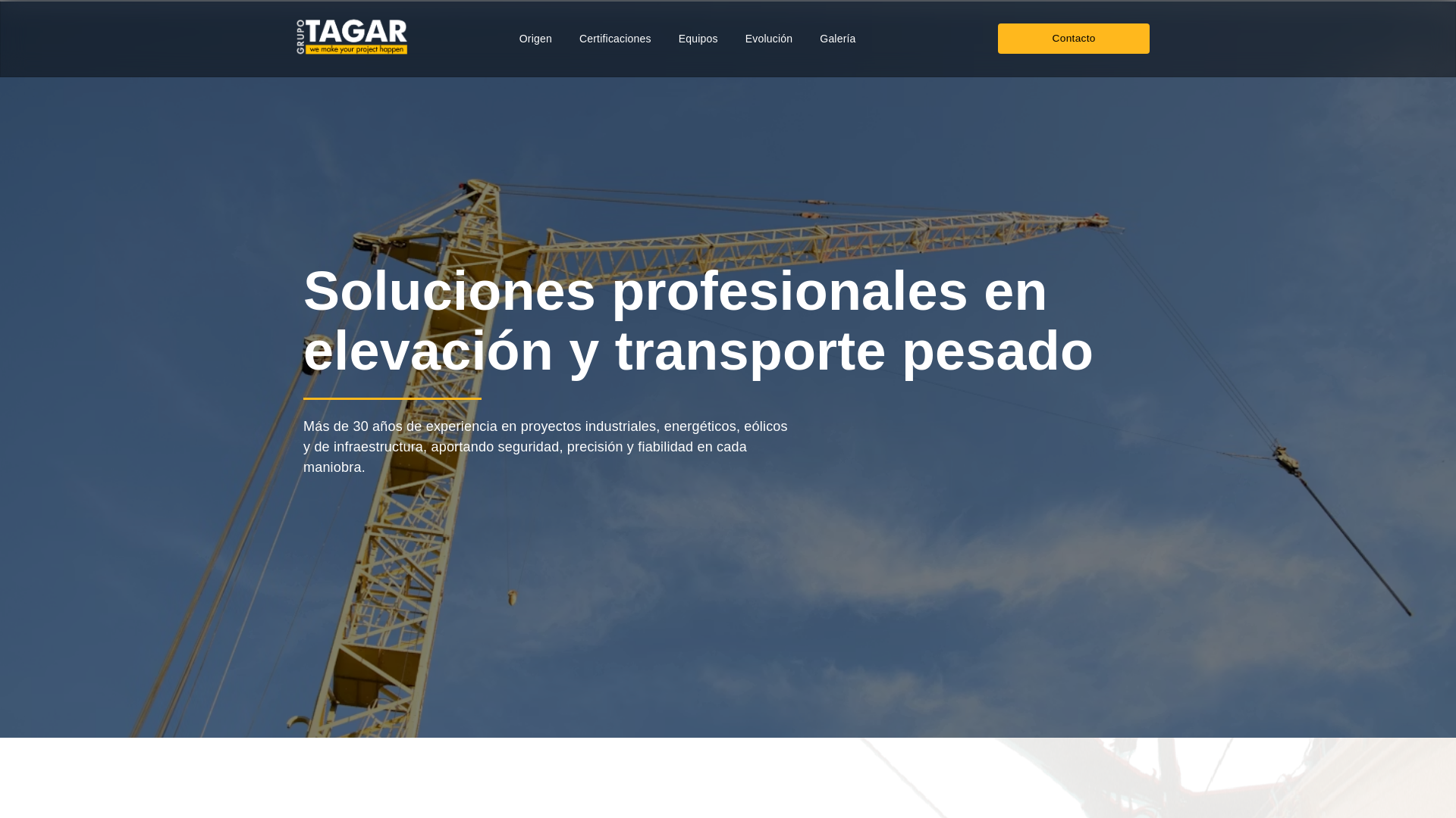 website screenshot of https://grupotagarvenezuela.com/