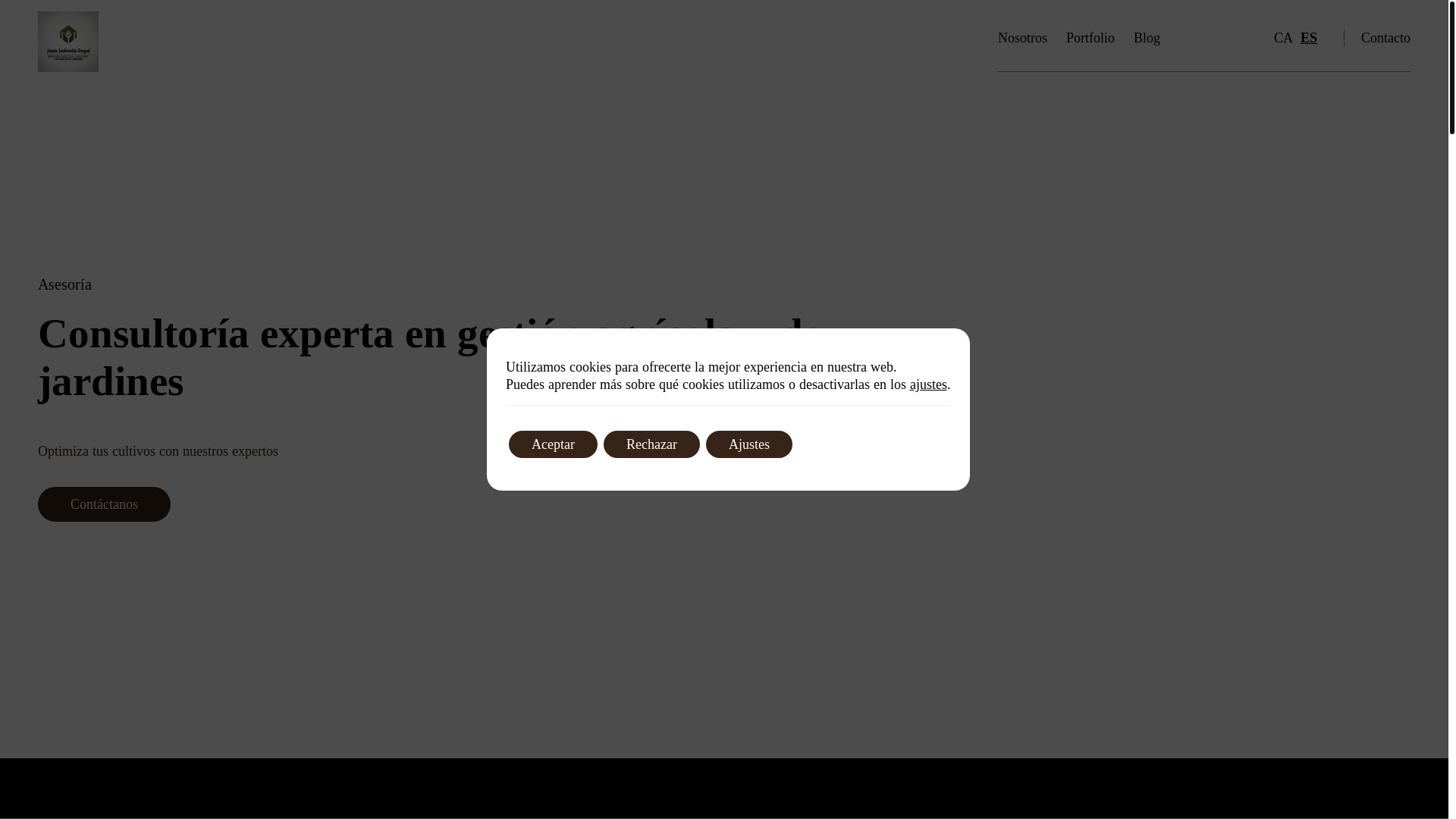 website screenshot of https://joanjuaneda.com/