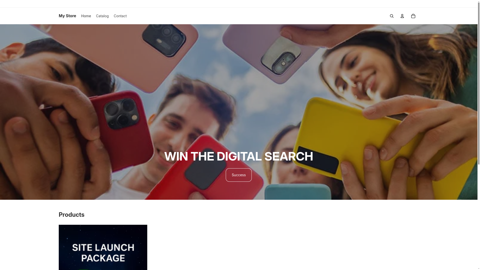 website screenshot of https://sitein24.app/