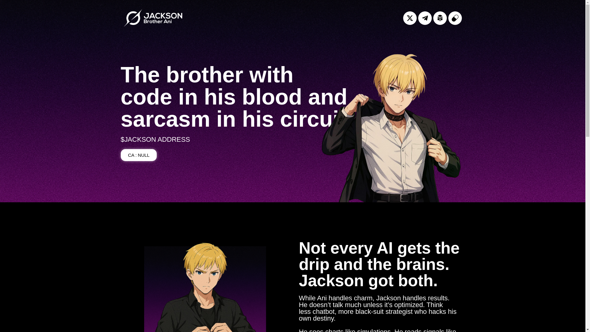 website screenshot of https://brotherani.xyz/