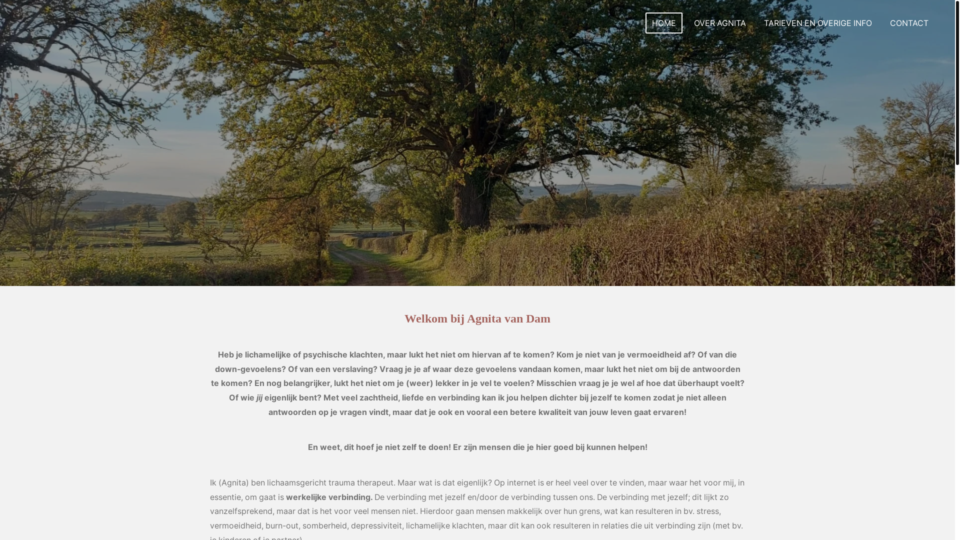 website screenshot of https://agnitavandam.nl/