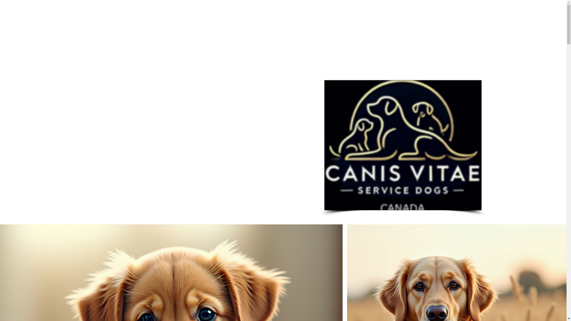website screenshot of https://canisvitaeservicedogs.com/
