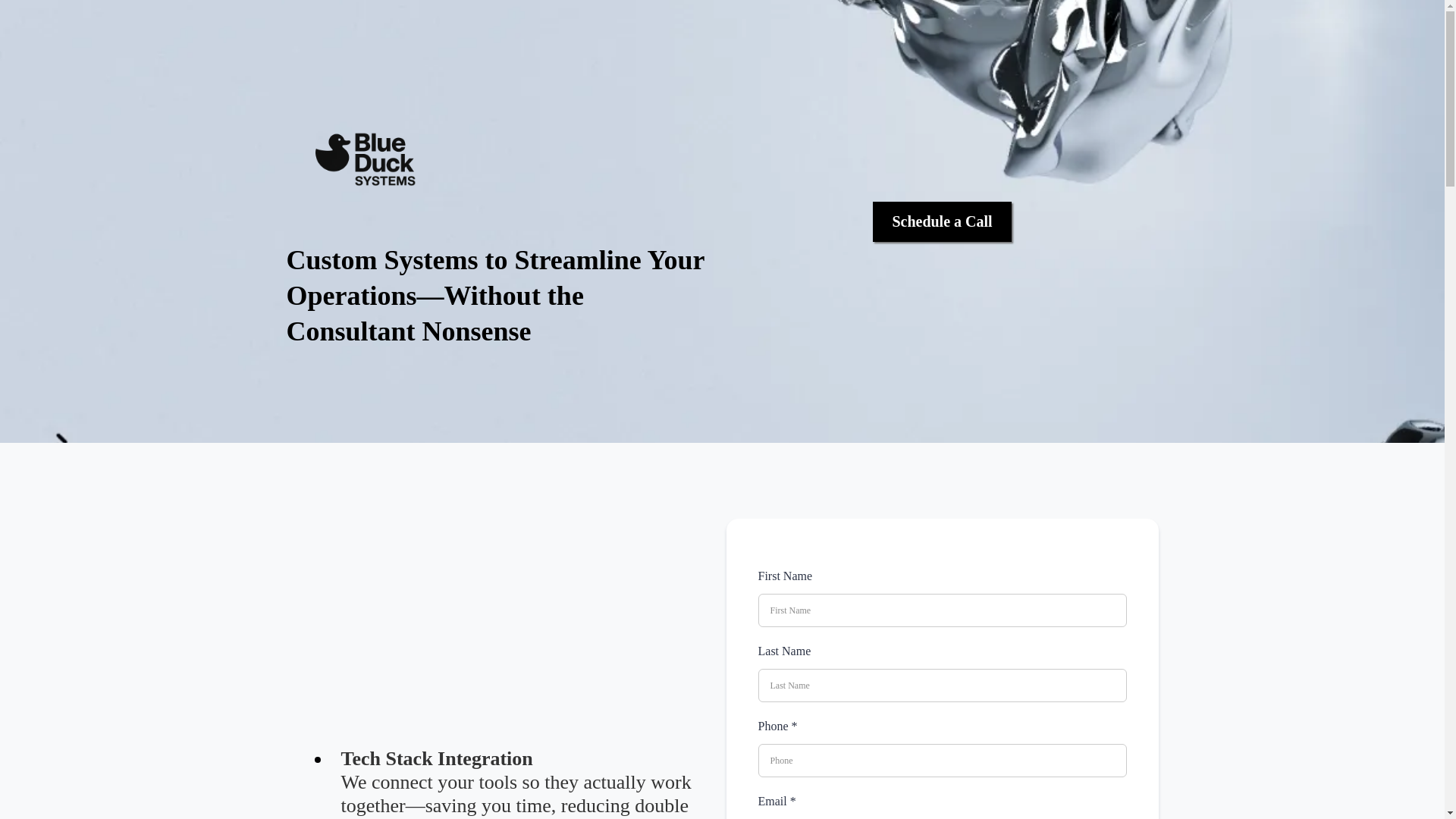 website screenshot of https://blueducksystems.com/