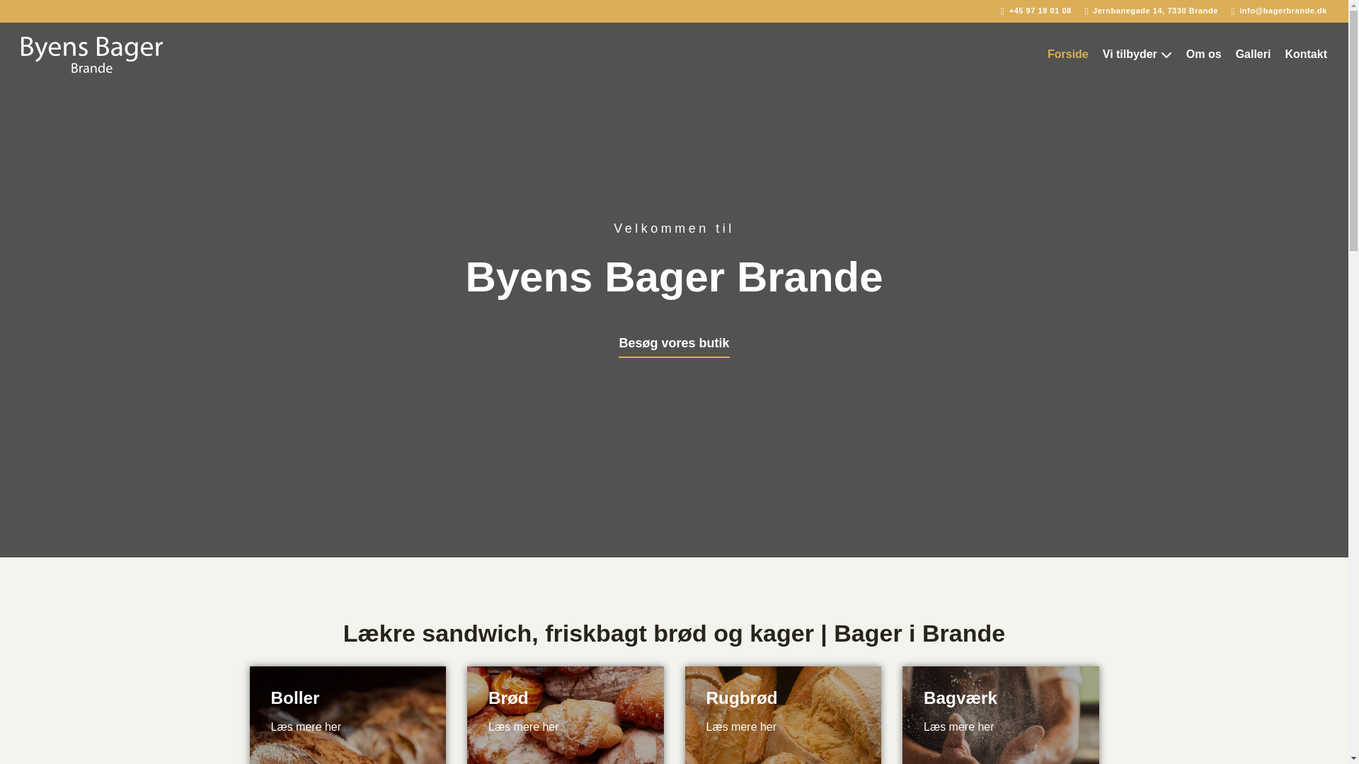 website screenshot of https://bagerbrande.dk/