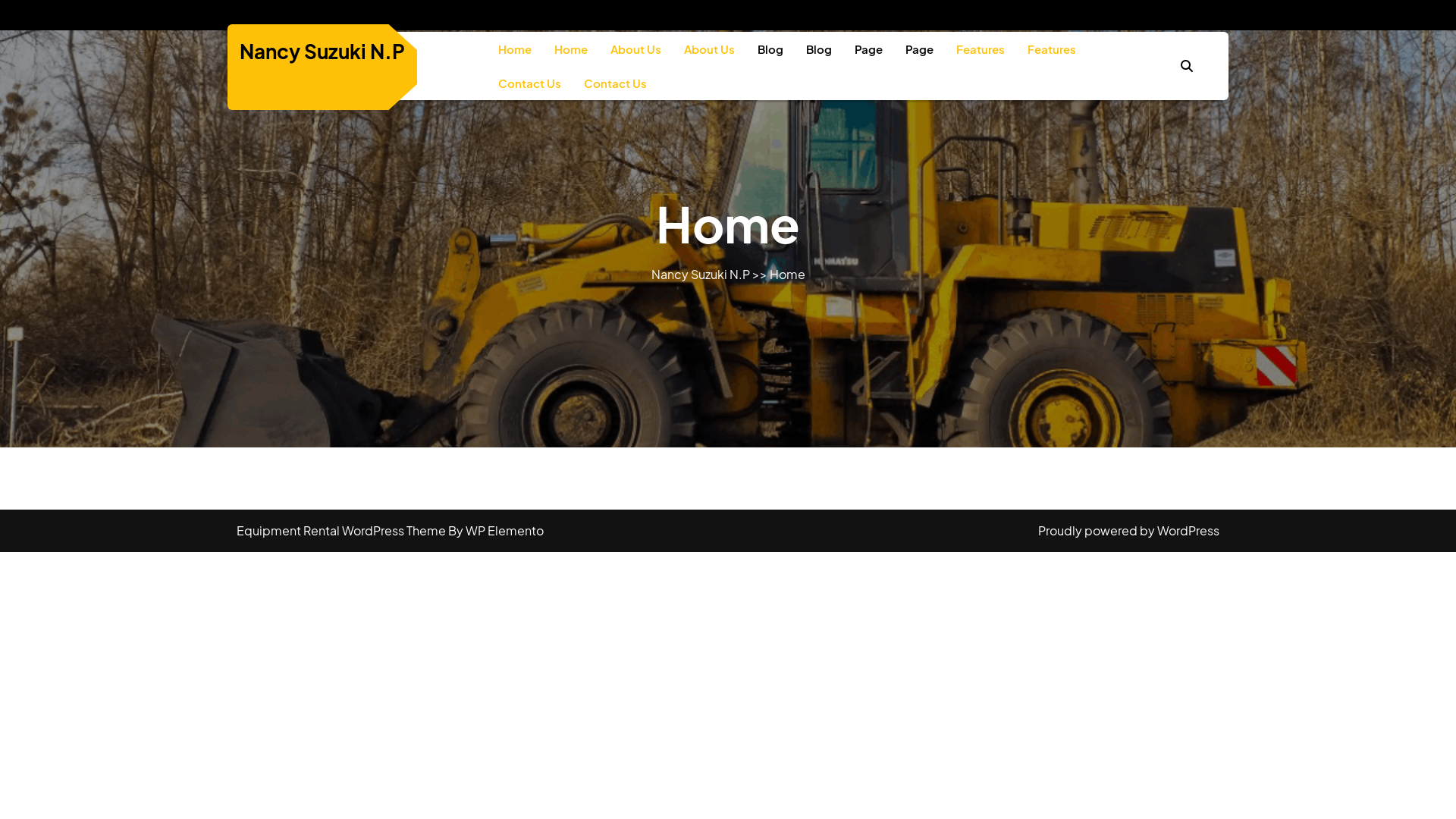 website screenshot of https://nancysuzukinp.pages.dev/
