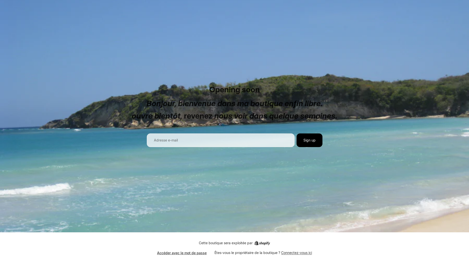 website screenshot of https://domainerenovation.com/