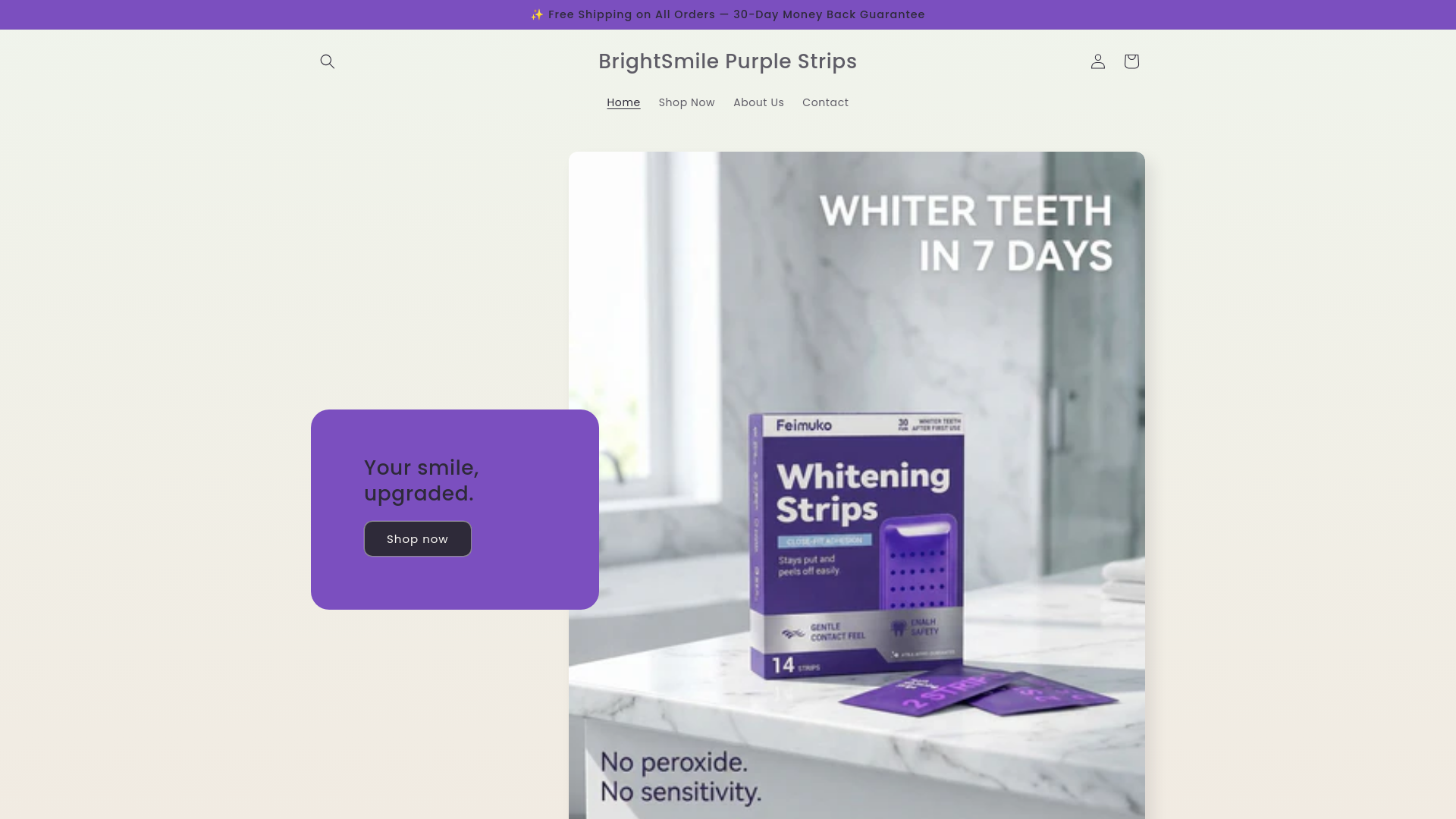 website screenshot of https://brightsmilepurplestrips.com/
