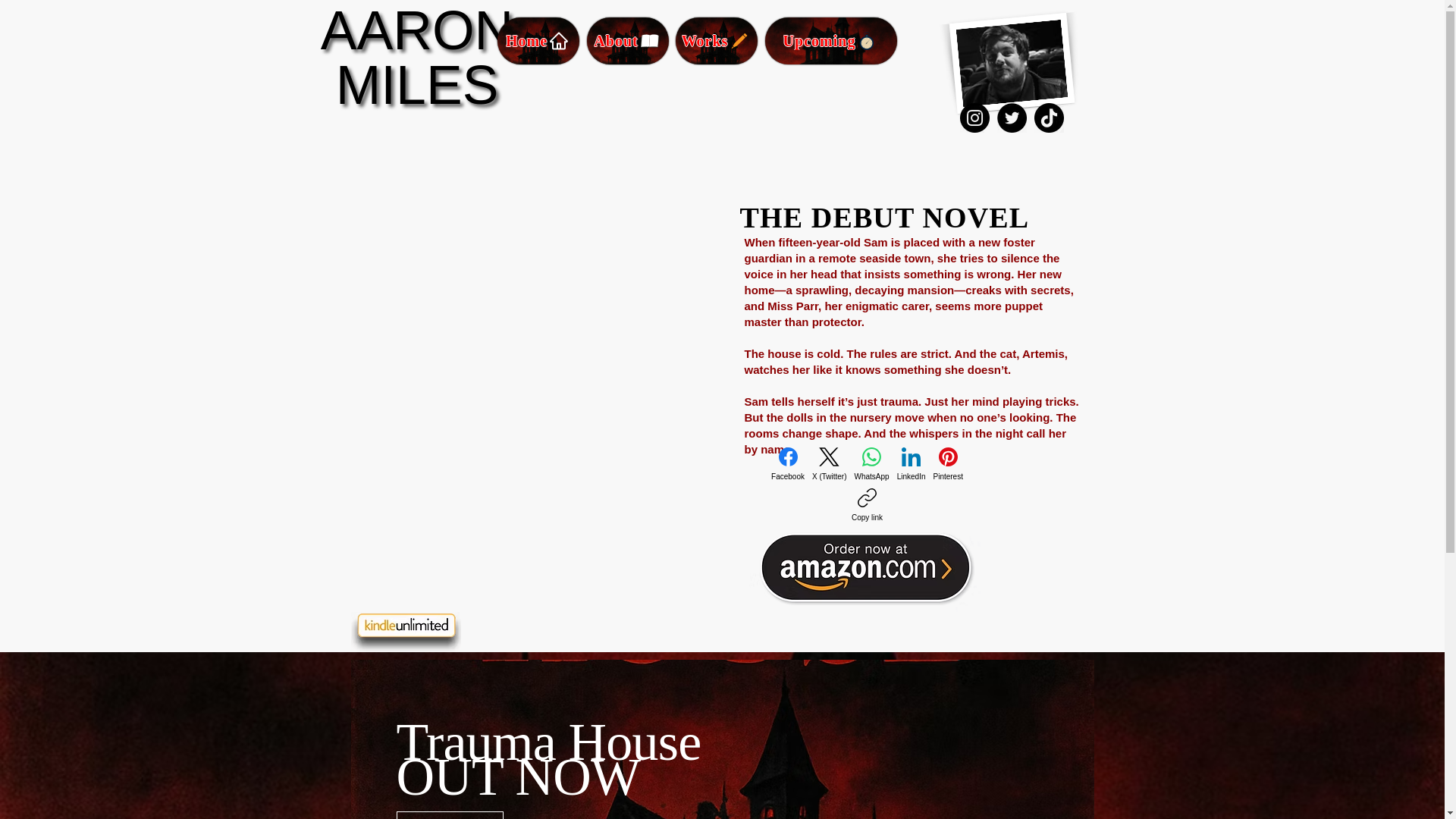 website screenshot of https://aaronmiles.net/