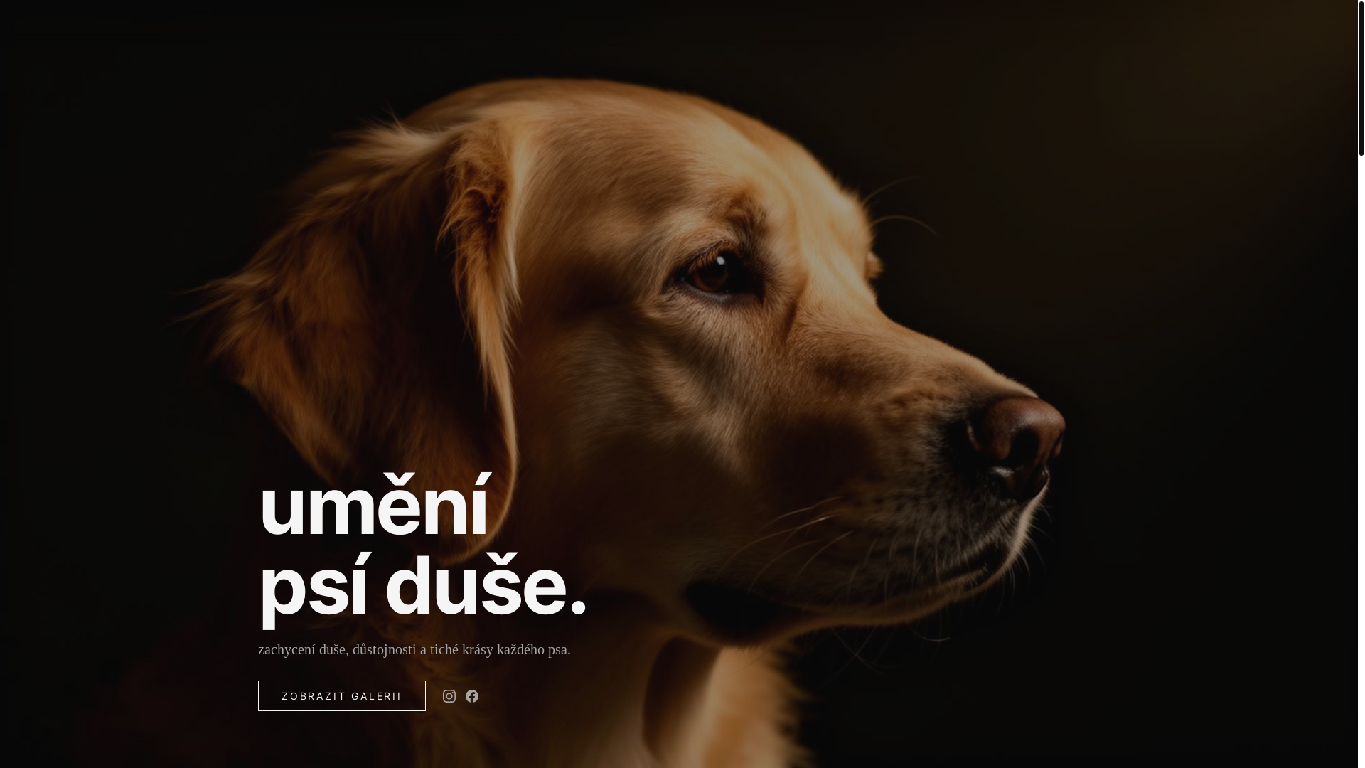 website screenshot of https://martinajustova.cz