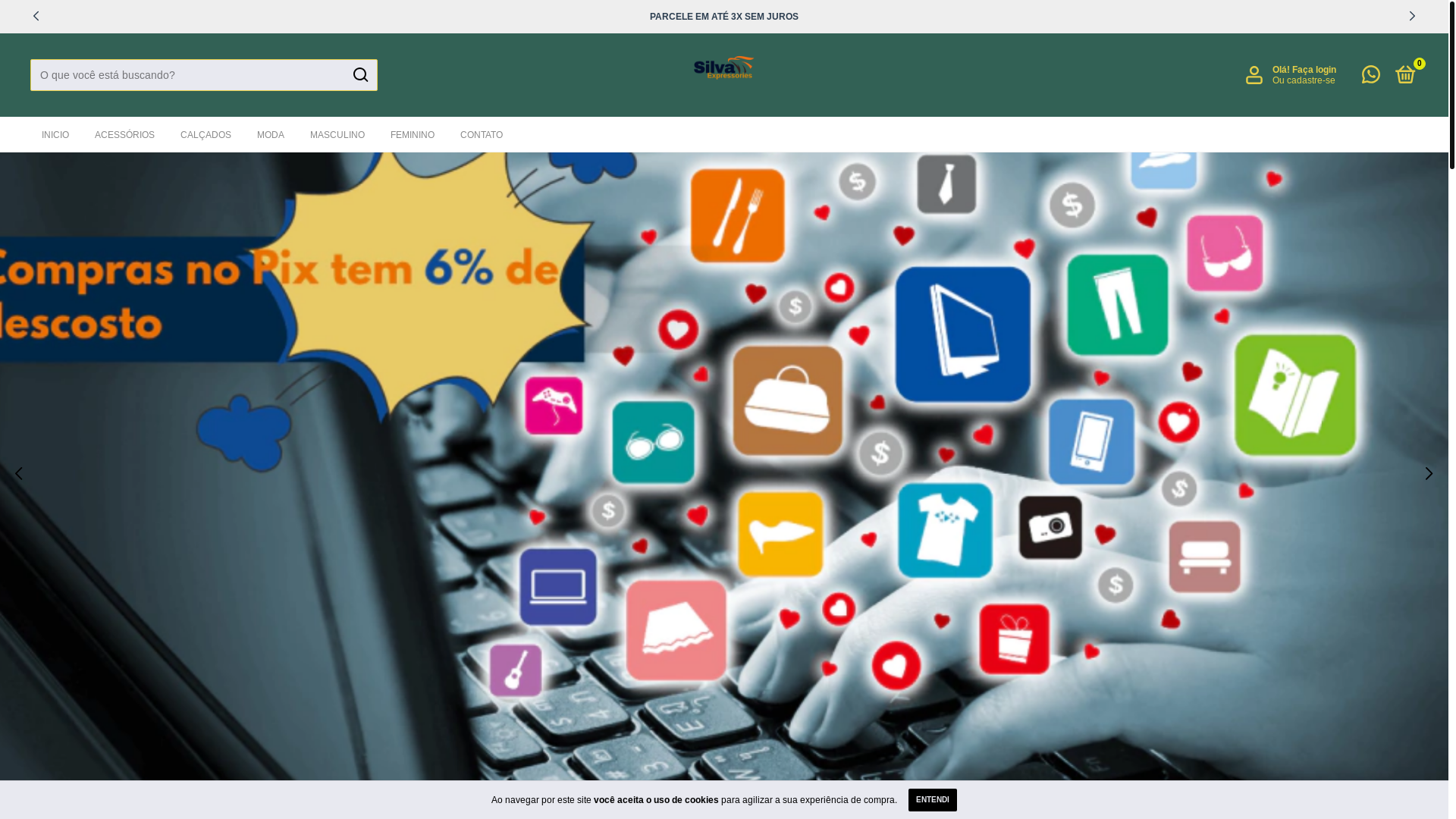 website screenshot of https://silvaexpressories.com.br/